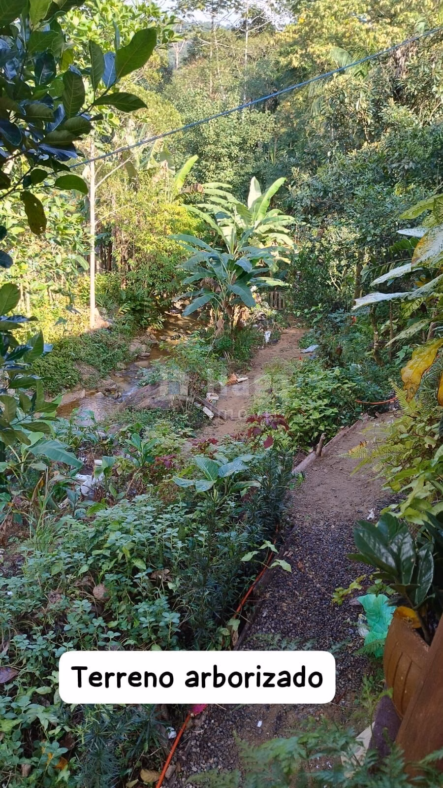 Farm of 1,620 m² in Biguaçu, SC, Brazil