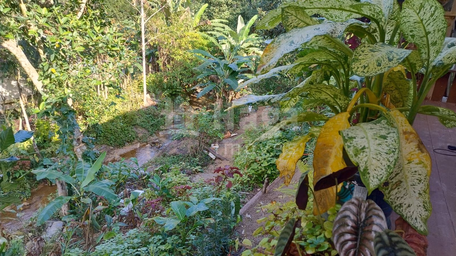 Farm of 1,620 m² in Biguaçu, SC, Brazil