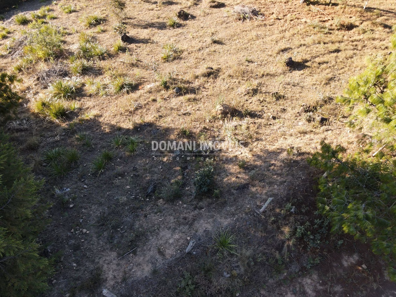 Terreno de 2.700 m² em Campos do Jordão, SP