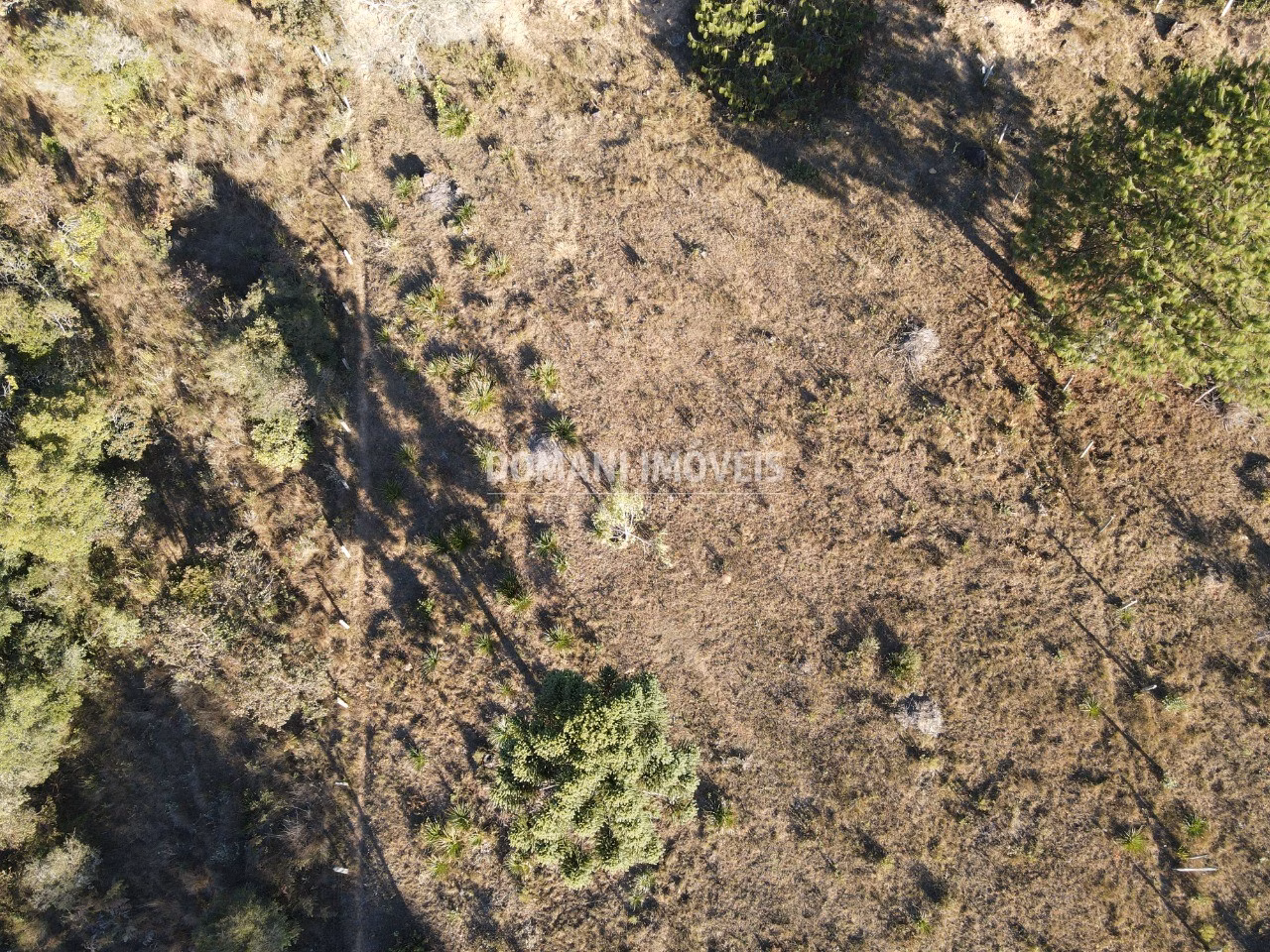 Terreno de 2.700 m² em Campos do Jordão, SP