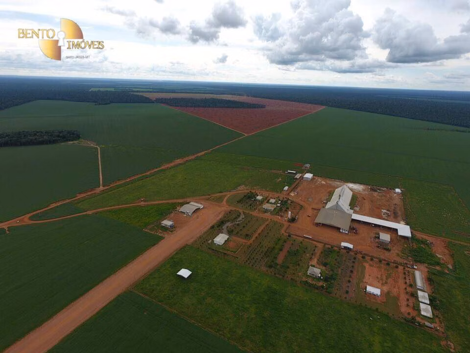 Fazenda de 5.200 ha em Brasnorte, MT