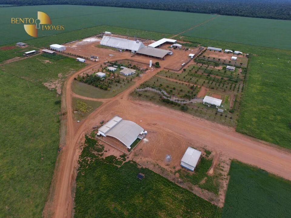 Fazenda de 5.200 ha em Brasnorte, MT
