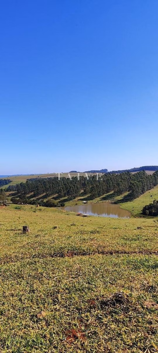 Fazenda à venda de 289 ha em Pardinho, SP