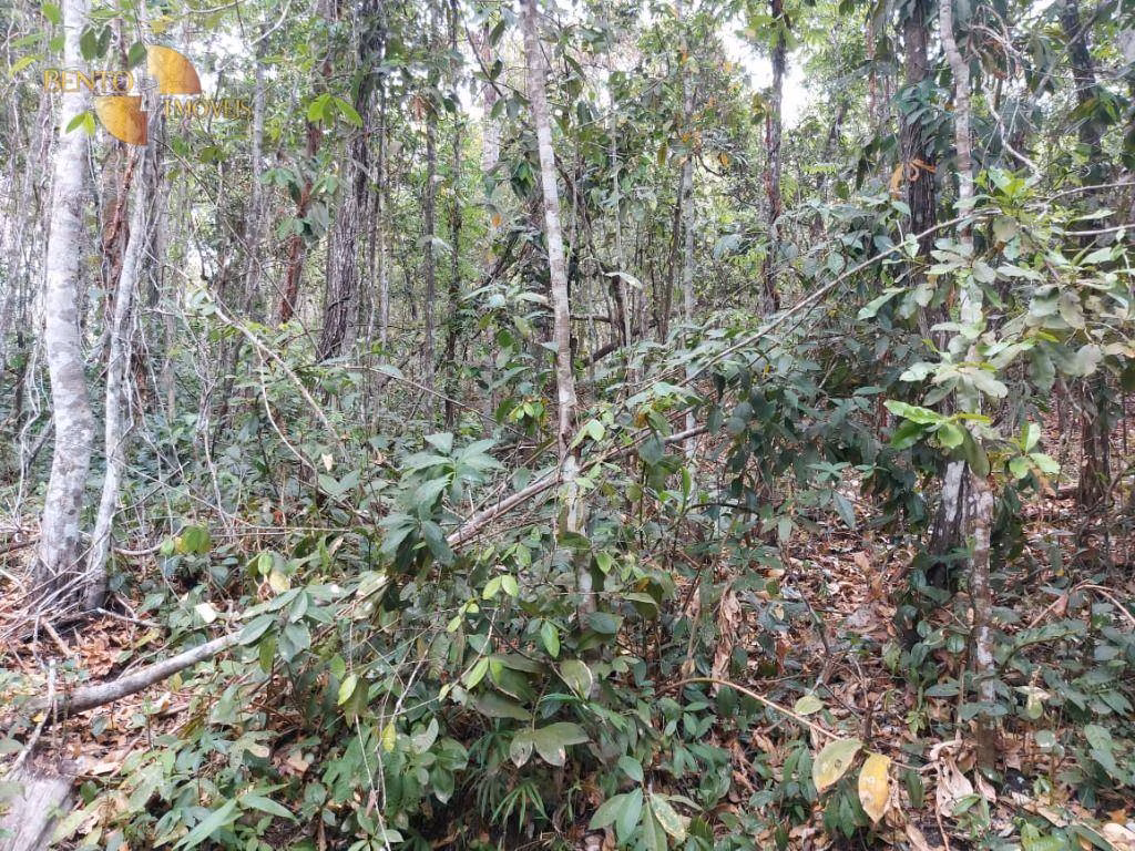 Sítio de 82 ha em Chapada dos Guimarães, MT
