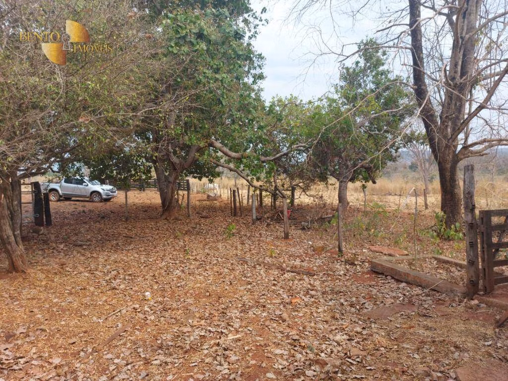 Sítio de 82 ha em Chapada dos Guimarães, MT