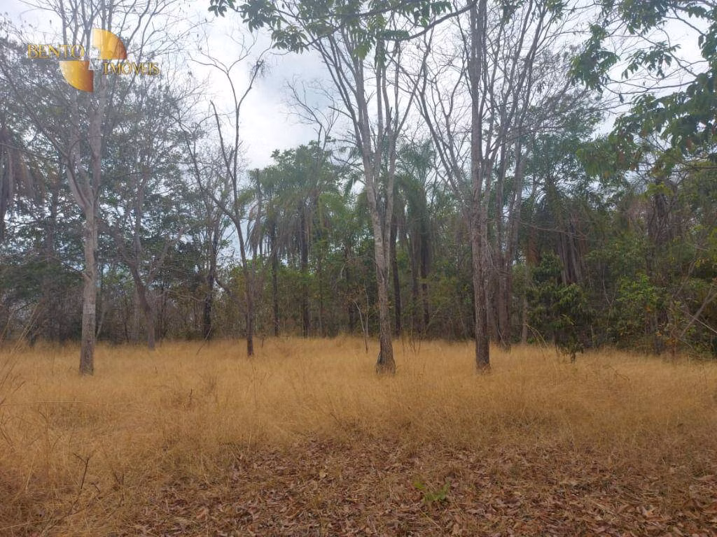 Sítio de 82 ha em Chapada dos Guimarães, MT