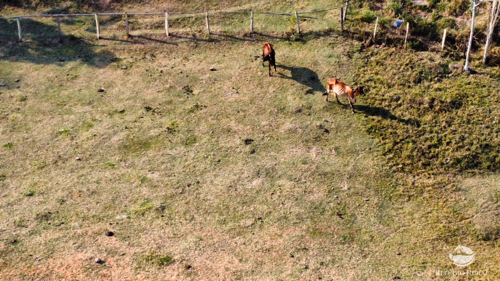 Small farm of 30 acres in São José dos Campos, SP, Brazil