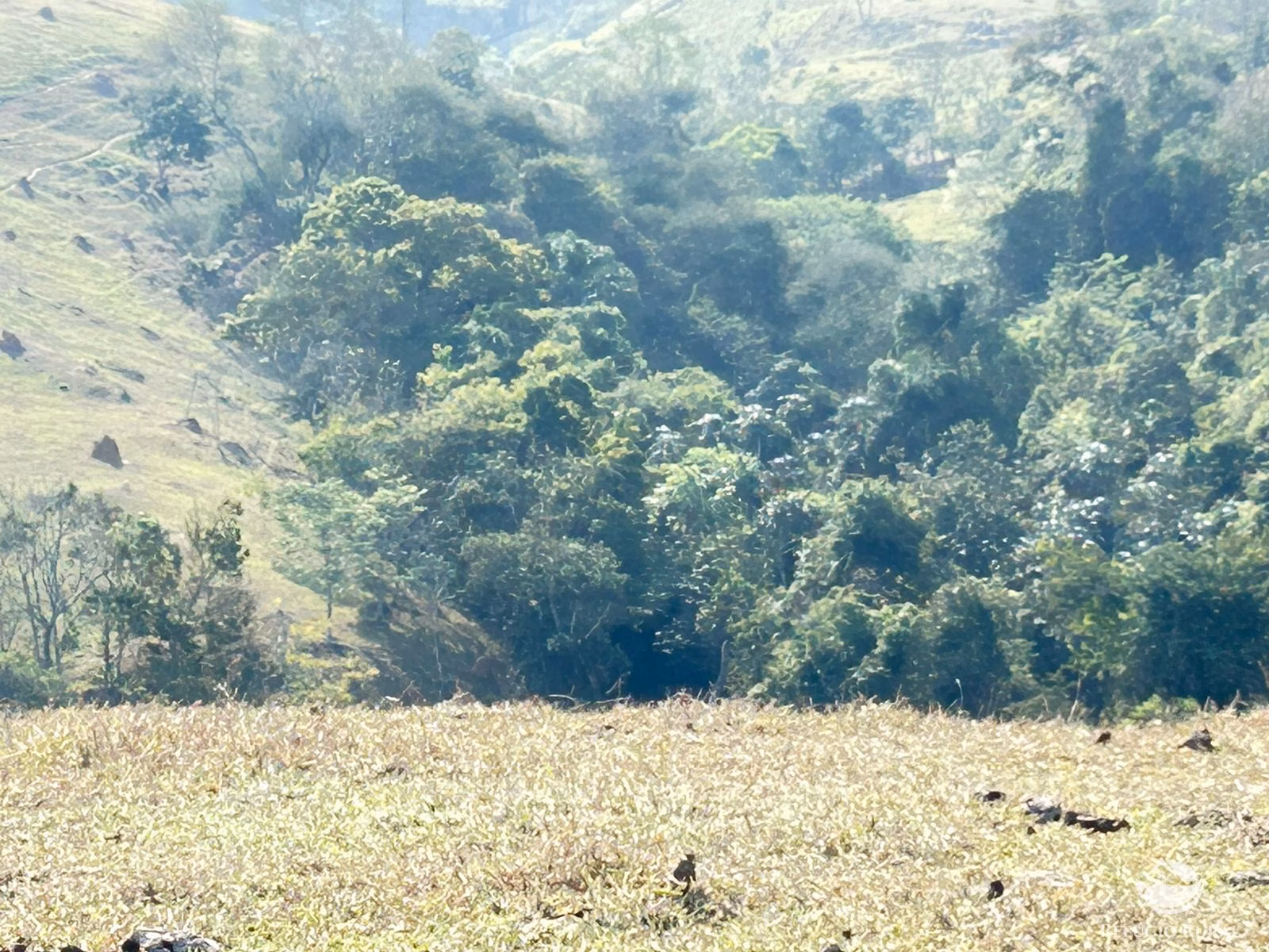 Small farm of 30 acres in São José dos Campos, SP, Brazil