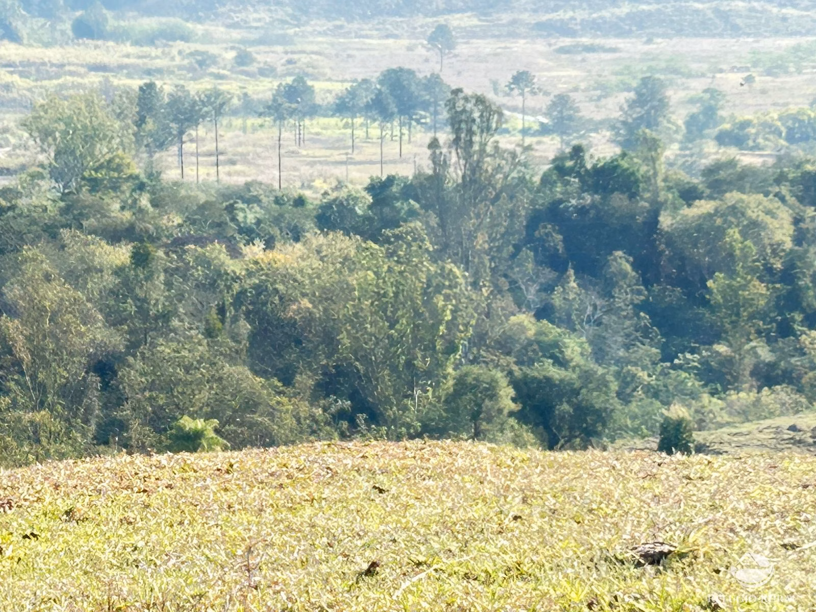 Small farm of 30 acres in São José dos Campos, SP, Brazil