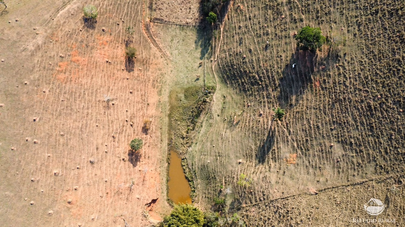 Small farm of 30 acres in São José dos Campos, SP, Brazil