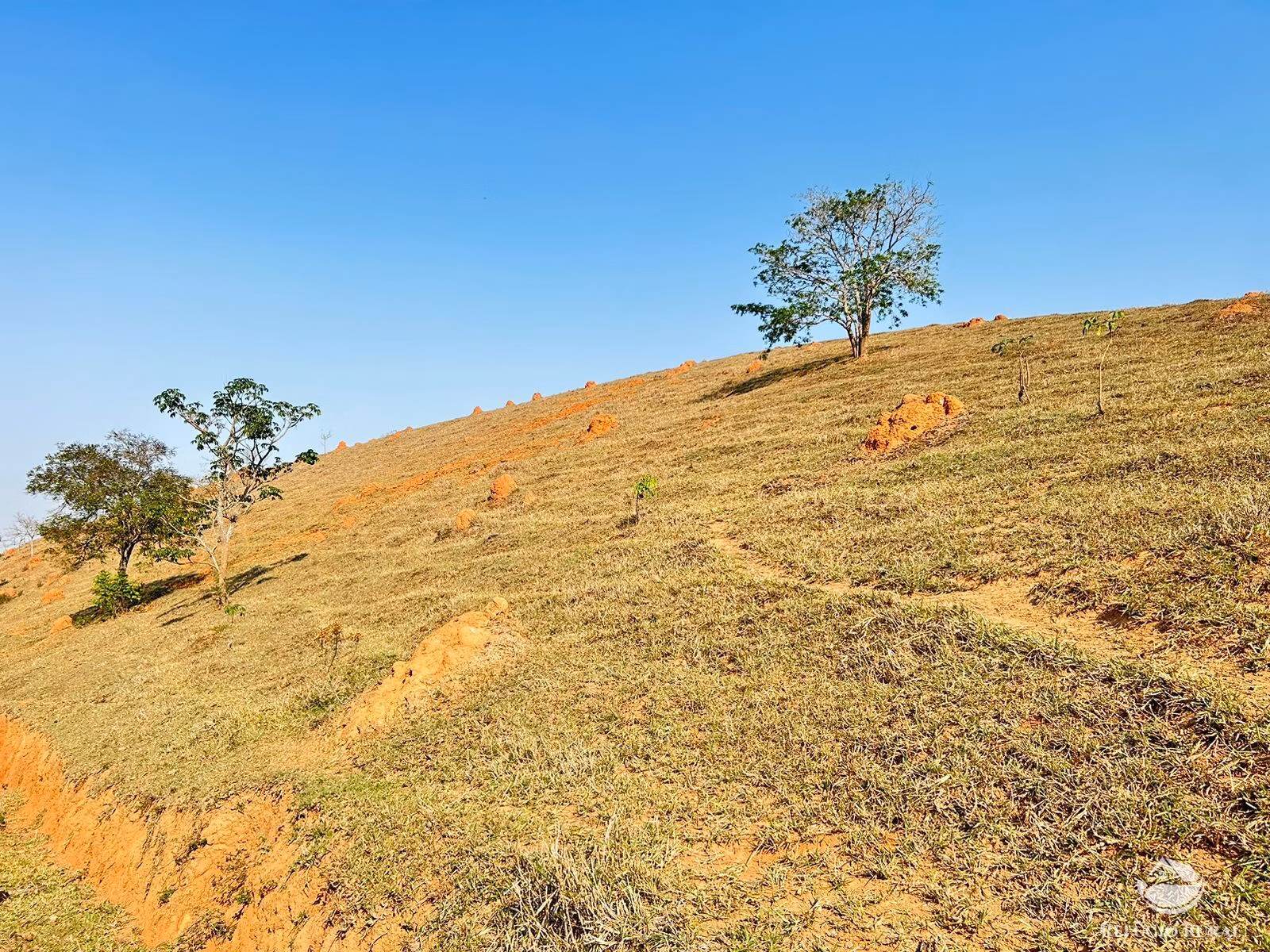 Small farm of 30 acres in São José dos Campos, SP, Brazil