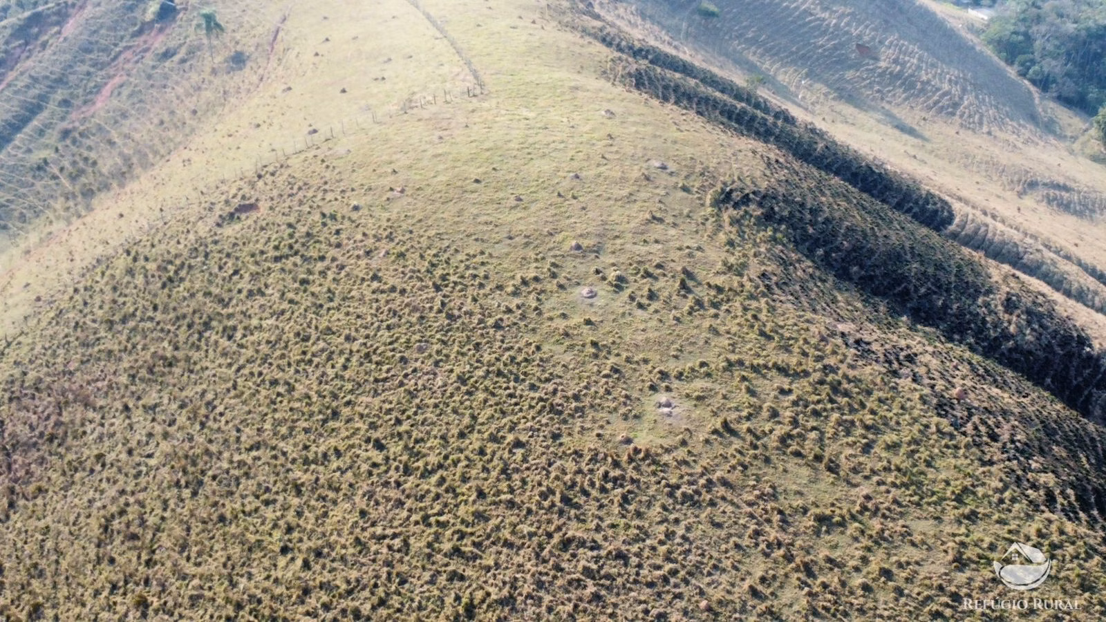 Small farm of 30 acres in São José dos Campos, SP, Brazil