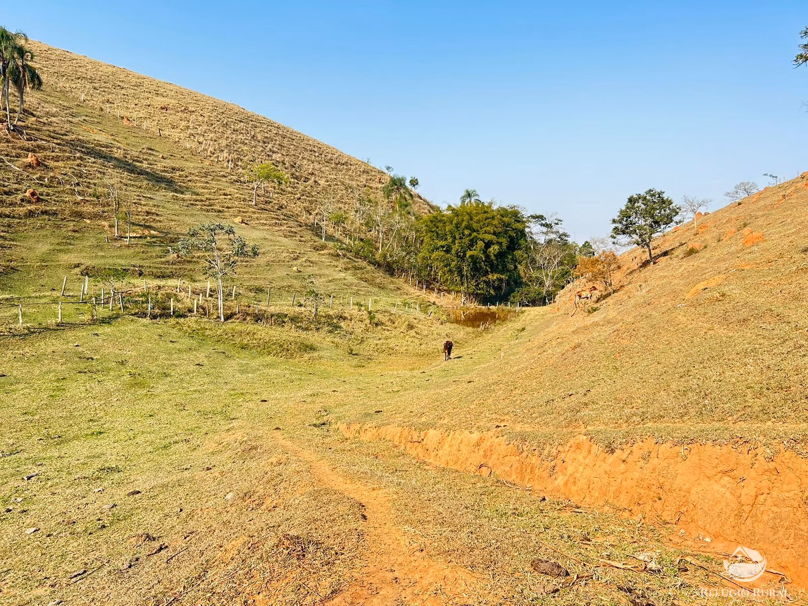 Small farm of 30 acres in São José dos Campos, SP, Brazil