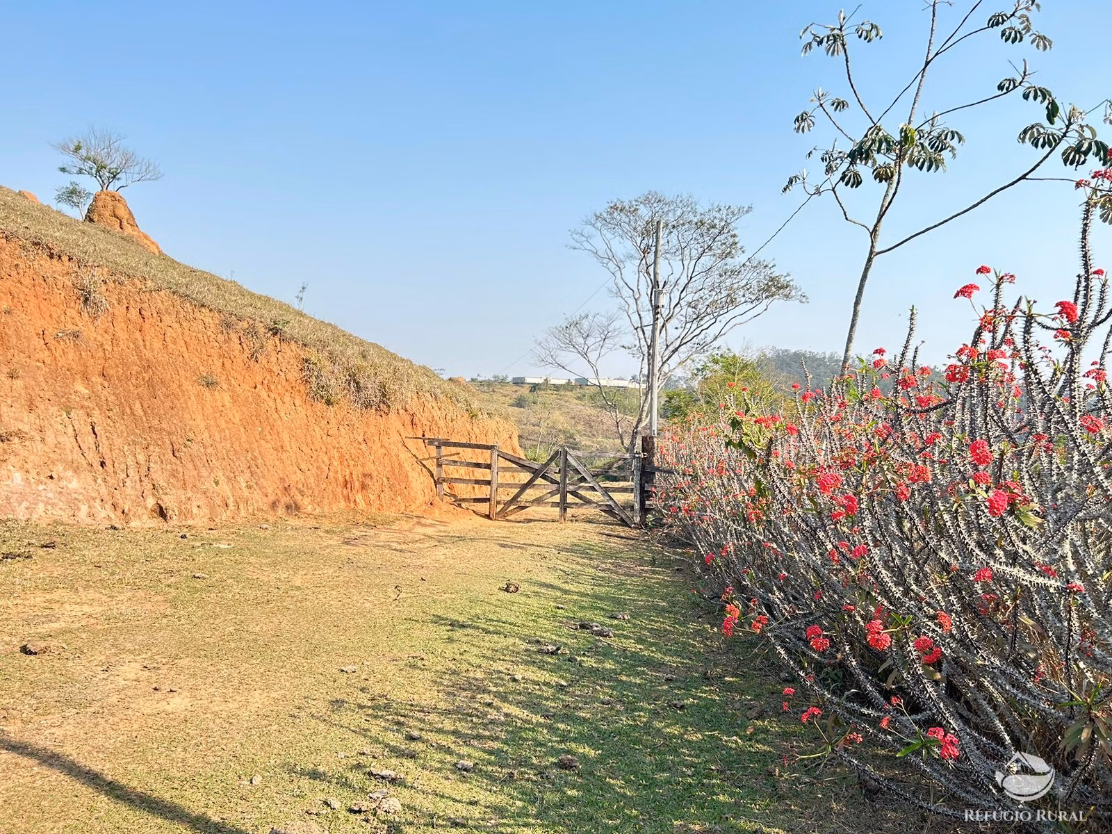Small farm of 30 acres in São José dos Campos, SP, Brazil