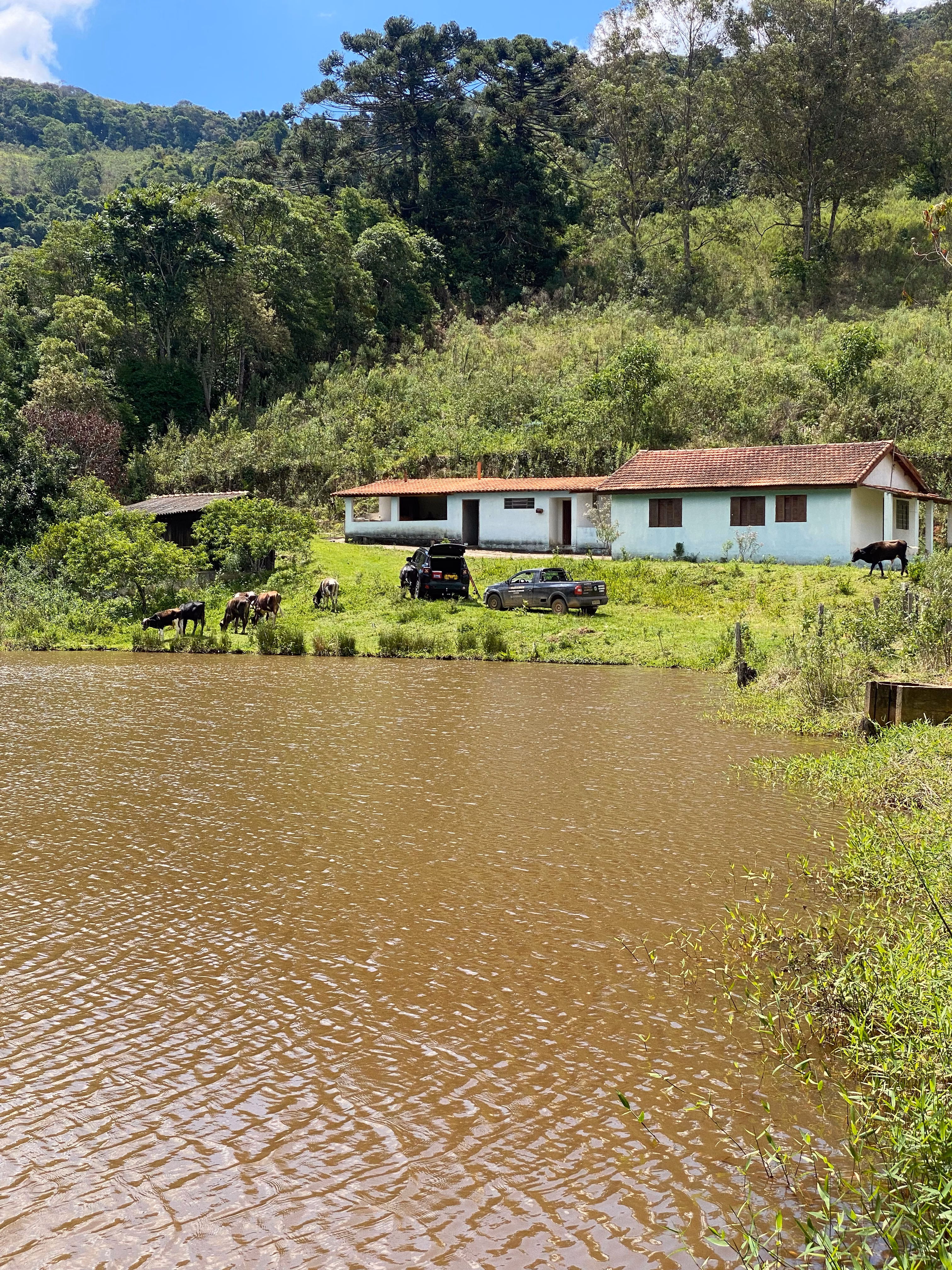 Small farm of 393 acres in Munhoz, MG, Brazil