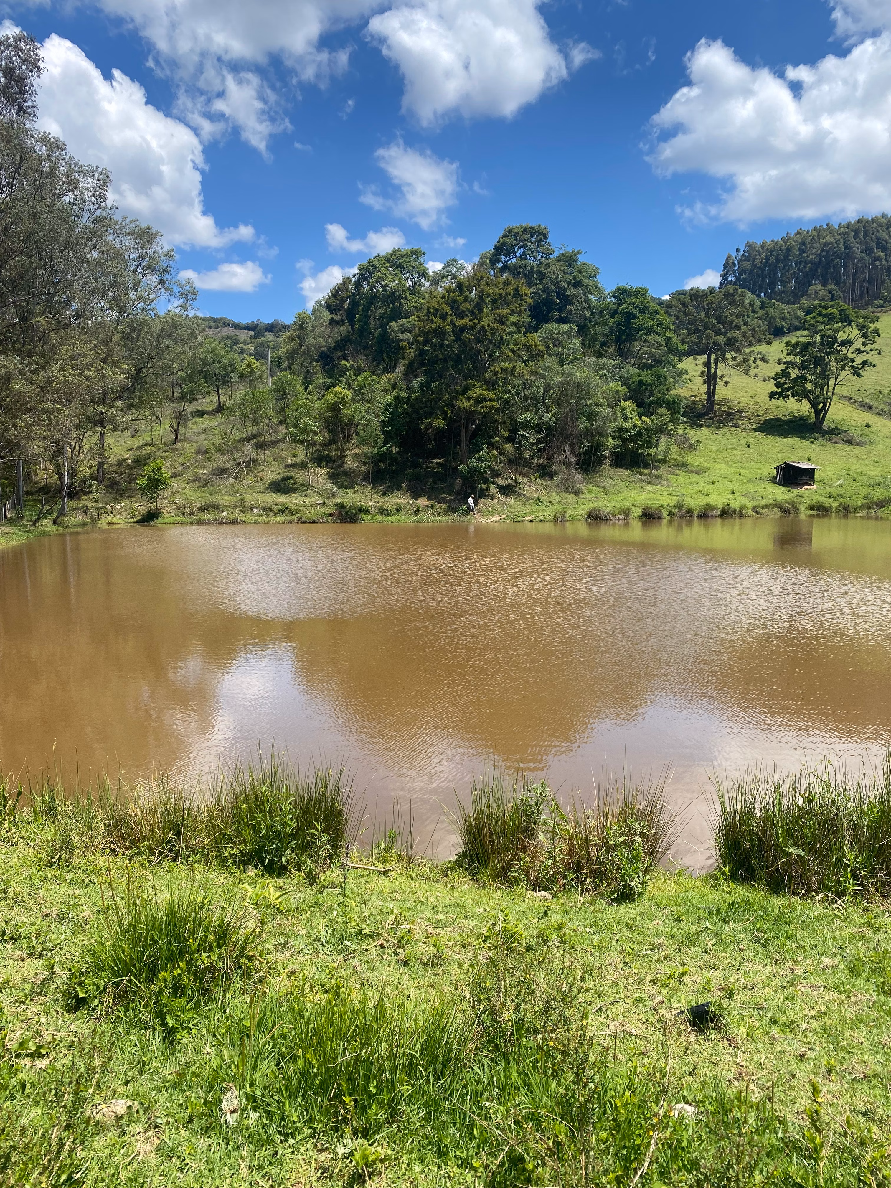Small farm of 393 acres in Munhoz, MG, Brazil
