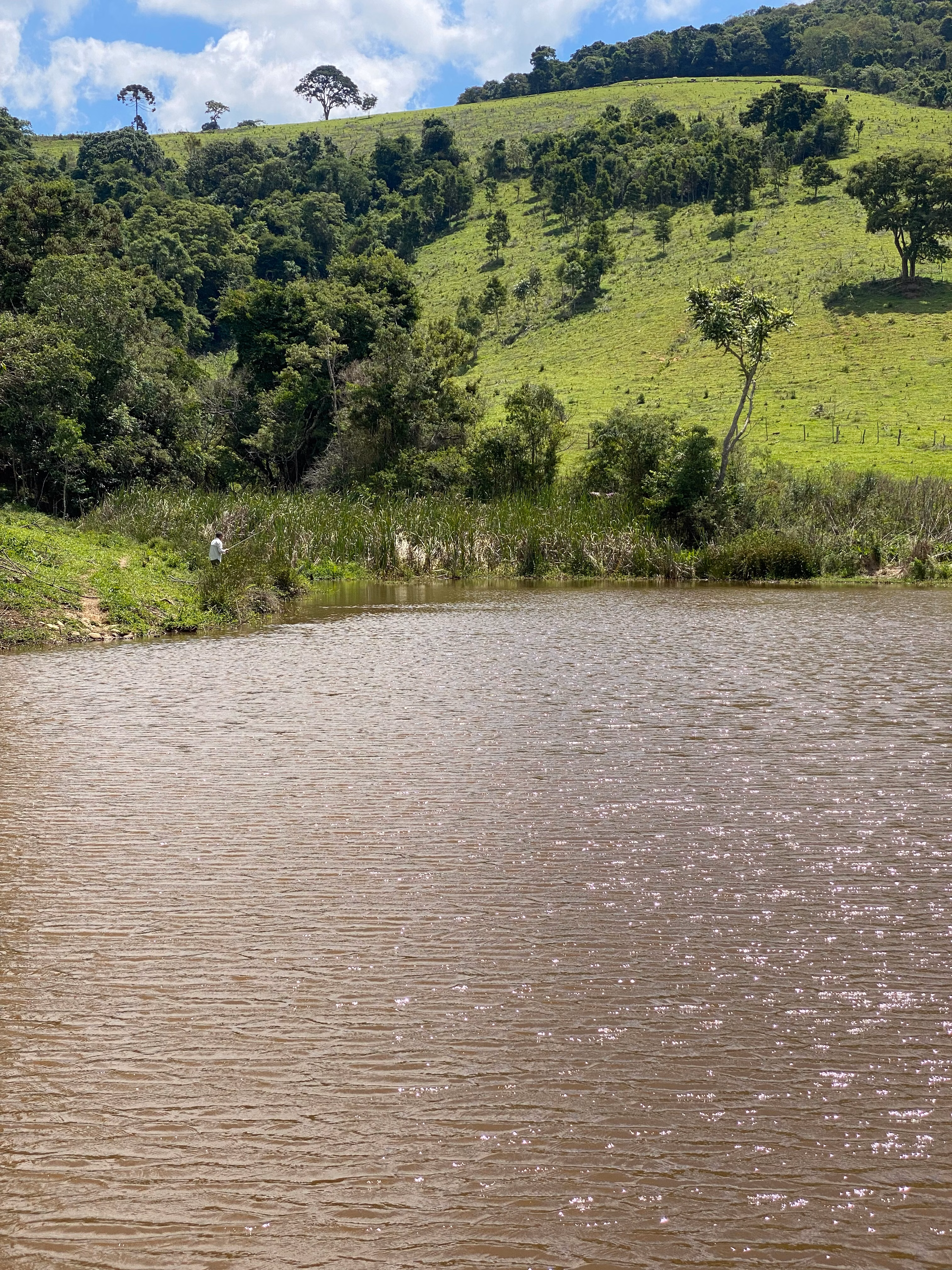 Fazenda de 159 ha em Munhoz, MG
