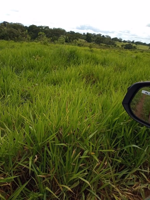 Fazenda de 100 ha em Poconé, MT