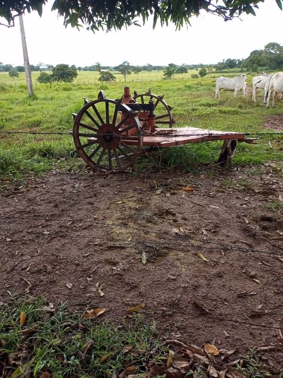 Fazenda de 100 ha em Poconé, MT