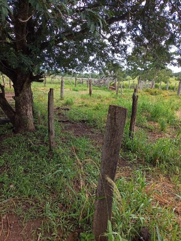 Fazenda de 100 ha em Poconé, MT