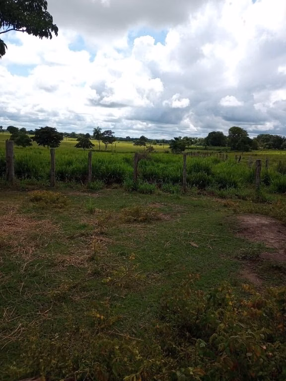 Fazenda de 100 ha em Poconé, MT