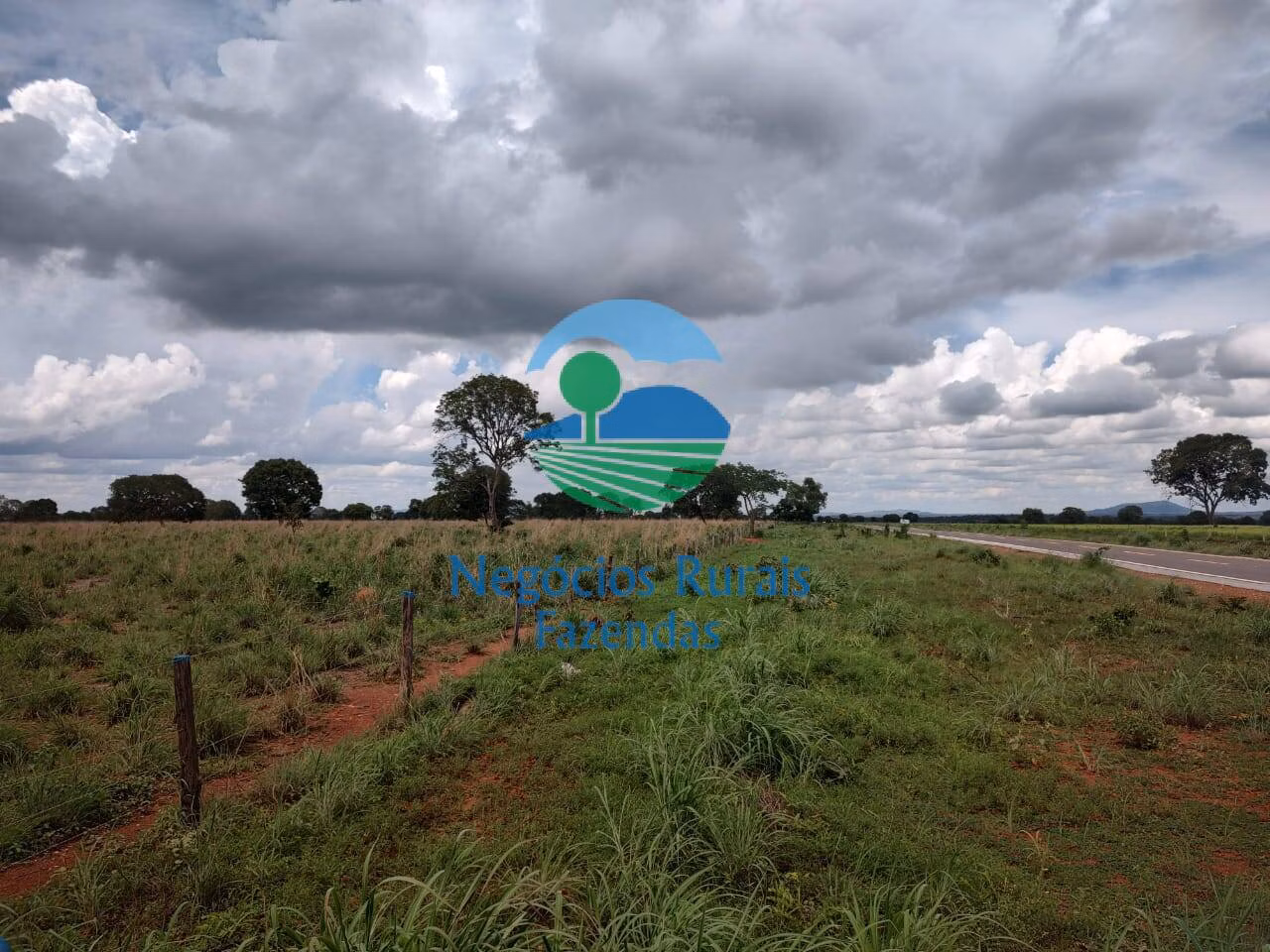 Fazenda de 1.116 ha em Alto Horizonte, GO