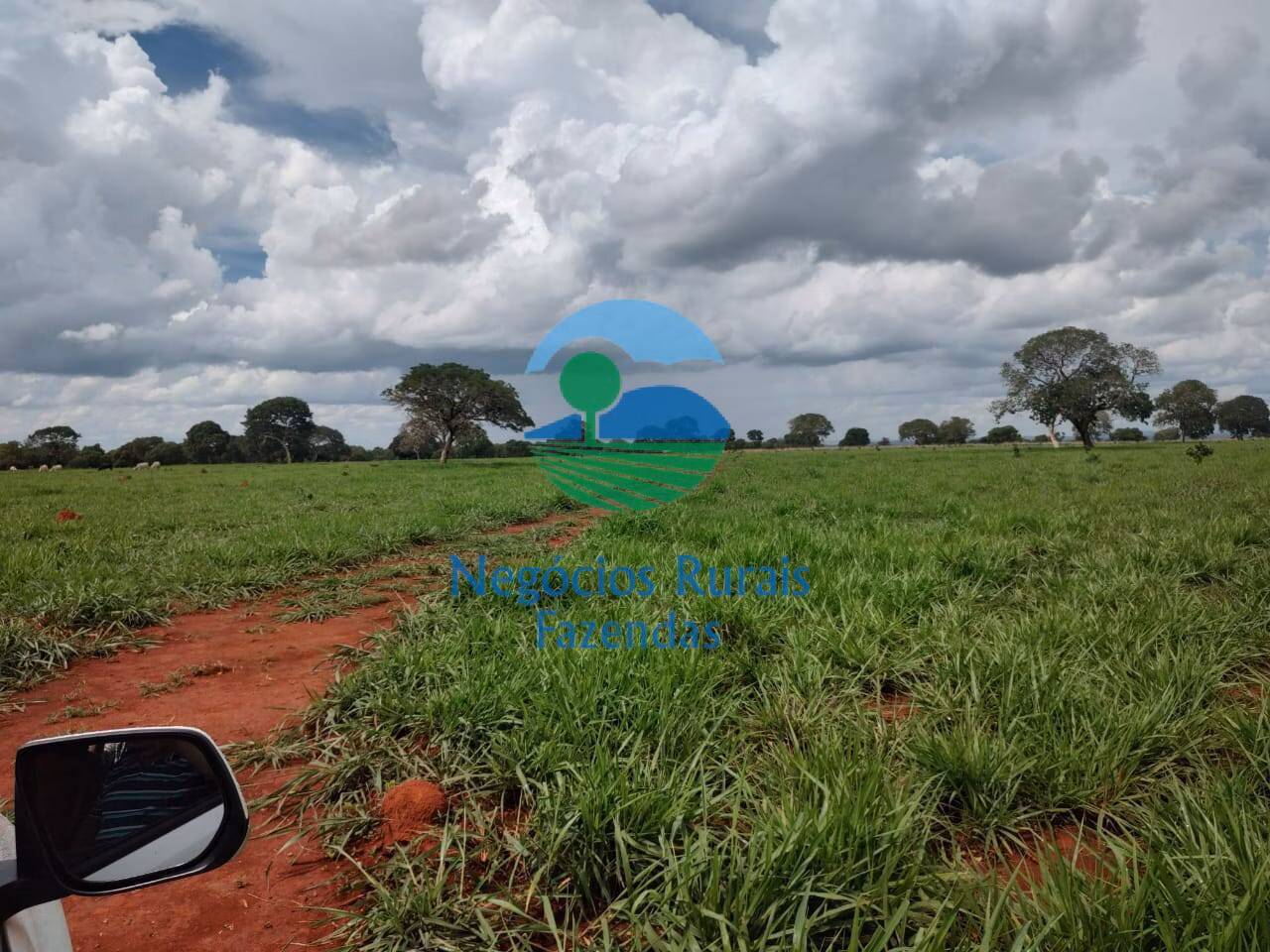 Fazenda de 1.116 ha em Alto Horizonte, GO