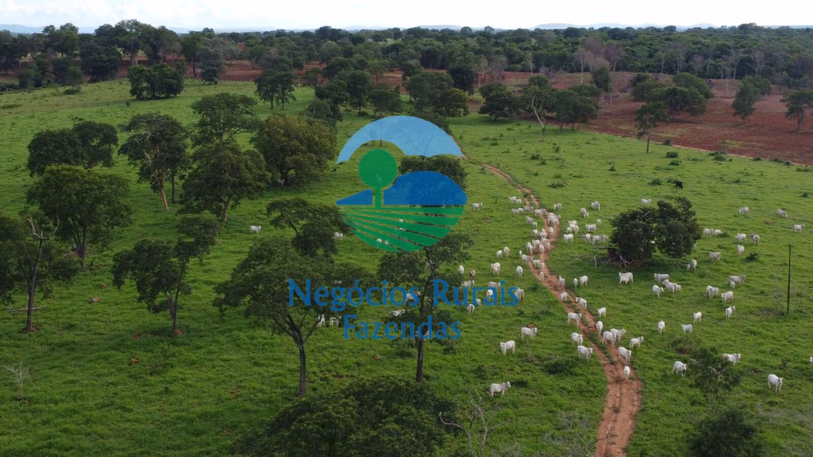 Fazenda de 1.116 ha em Alto Horizonte, GO