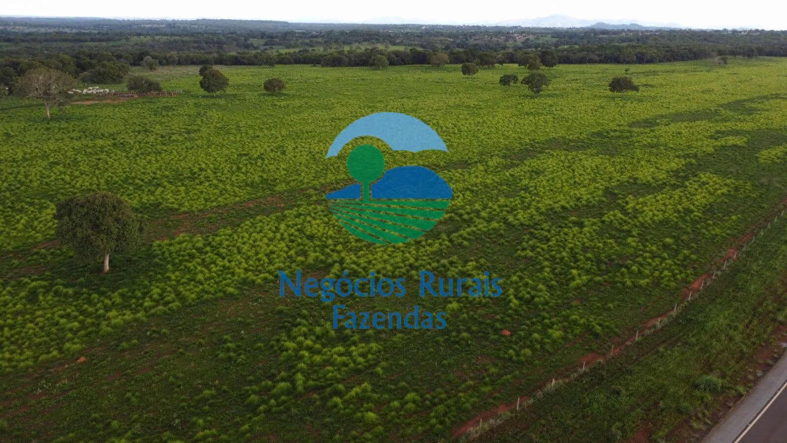 Fazenda de 1.116 ha em Alto Horizonte, GO