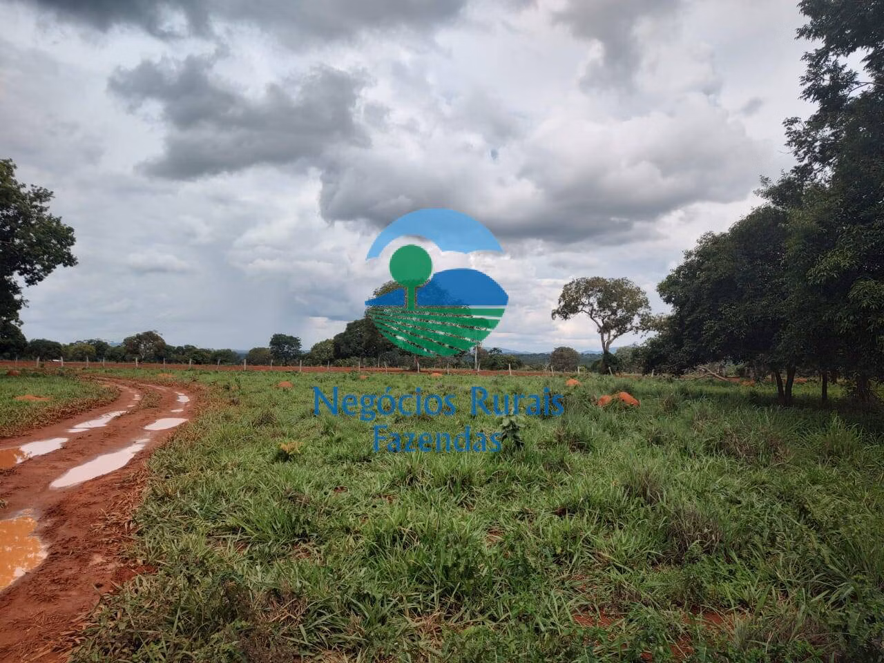 Fazenda de 1.116 ha em Alto Horizonte, GO