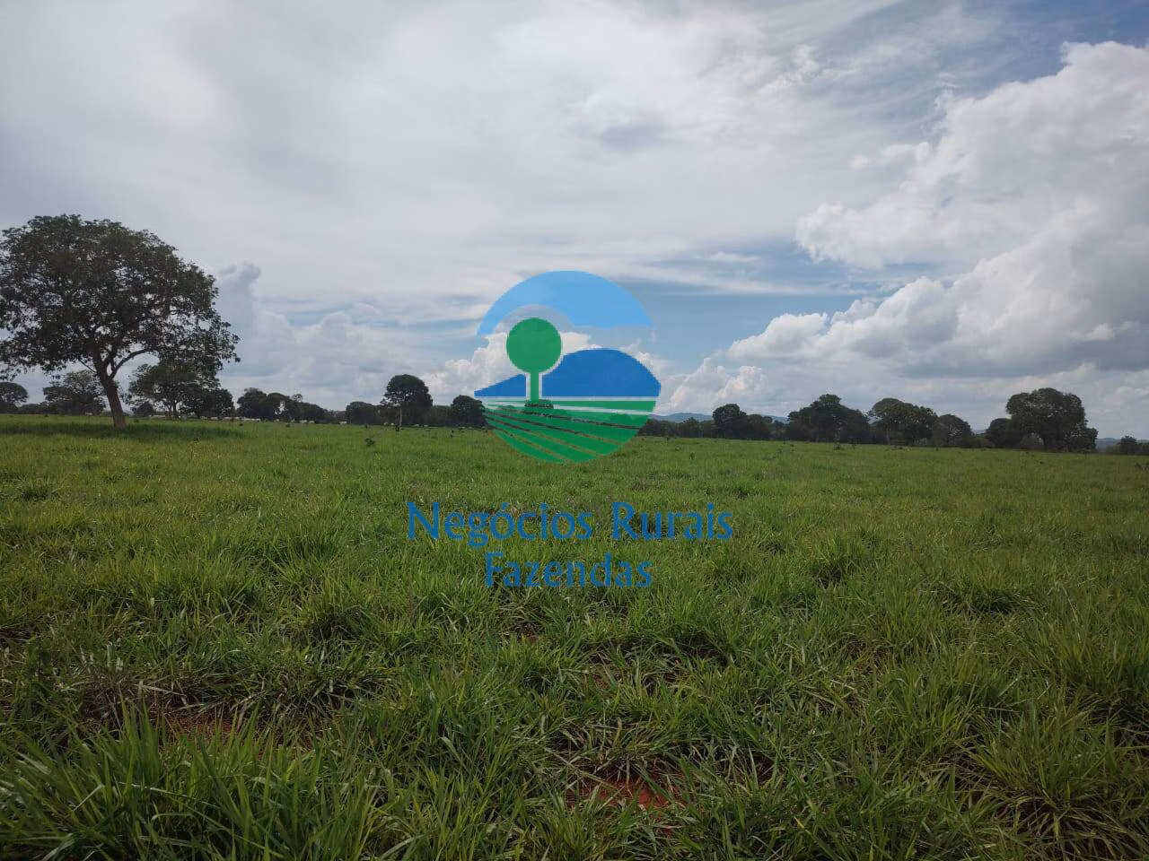 Fazenda de 1.116 ha em Alto Horizonte, GO