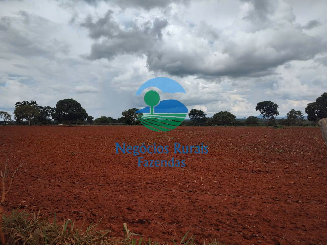 Fazenda de 1.116 ha em Alto Horizonte, GO