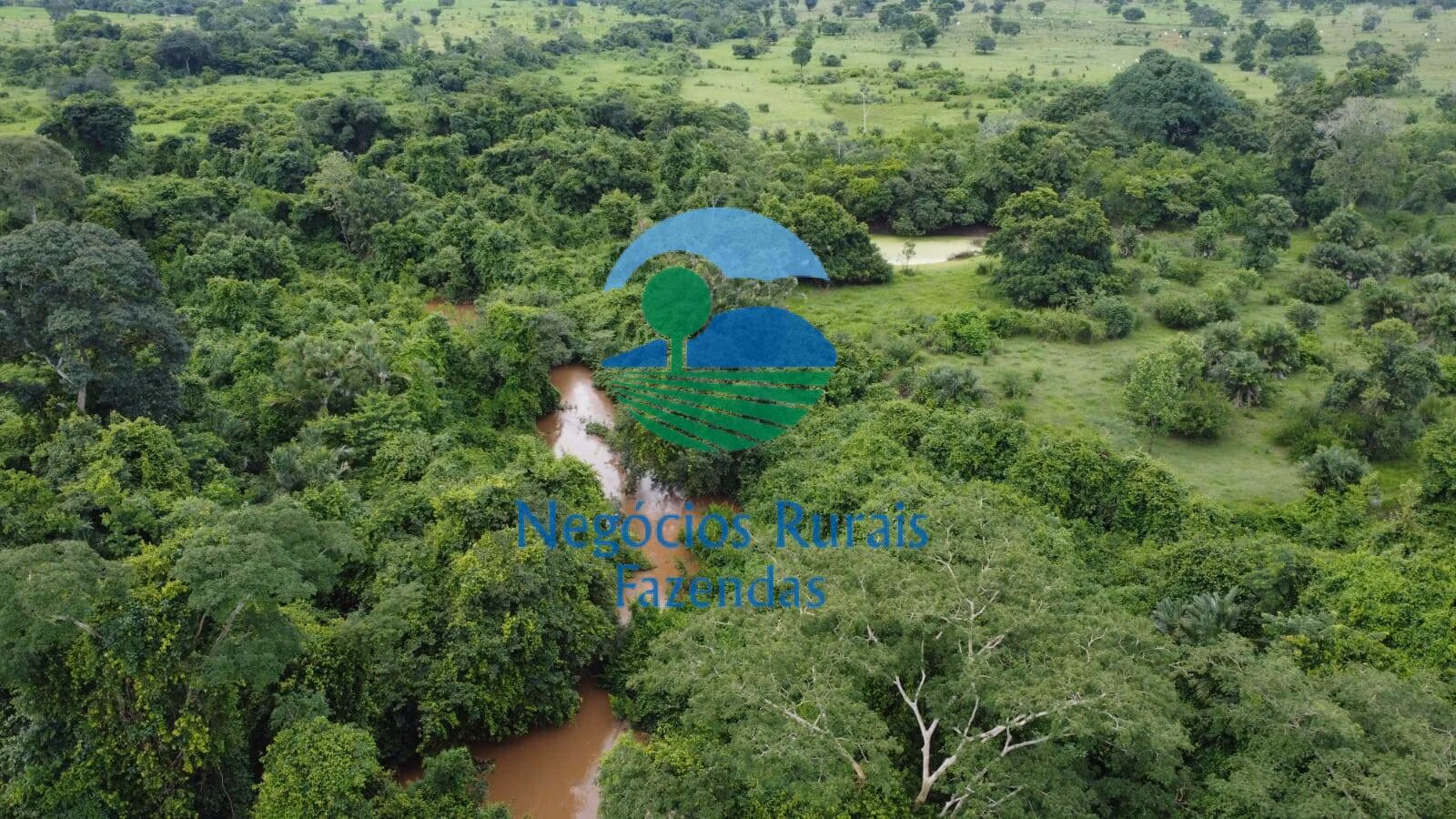 Fazenda de 1.116 ha em Alto Horizonte, GO