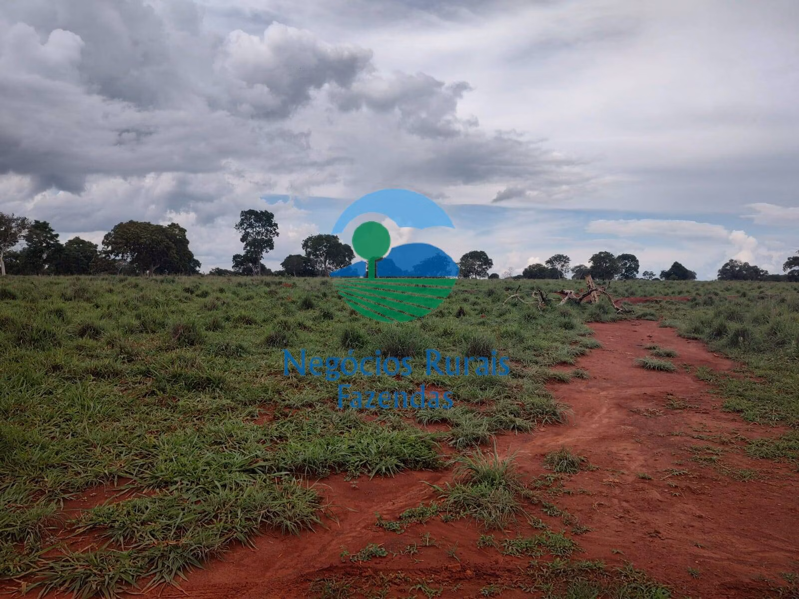 Fazenda de 1.116 ha em Alto Horizonte, GO