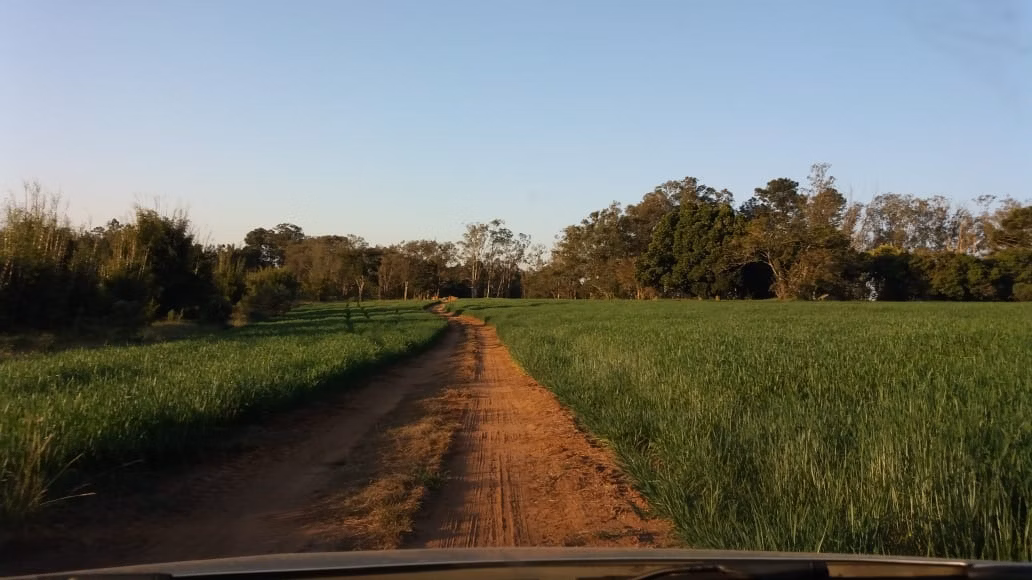 Fazenda de 111 ha em Itapetininga, SP