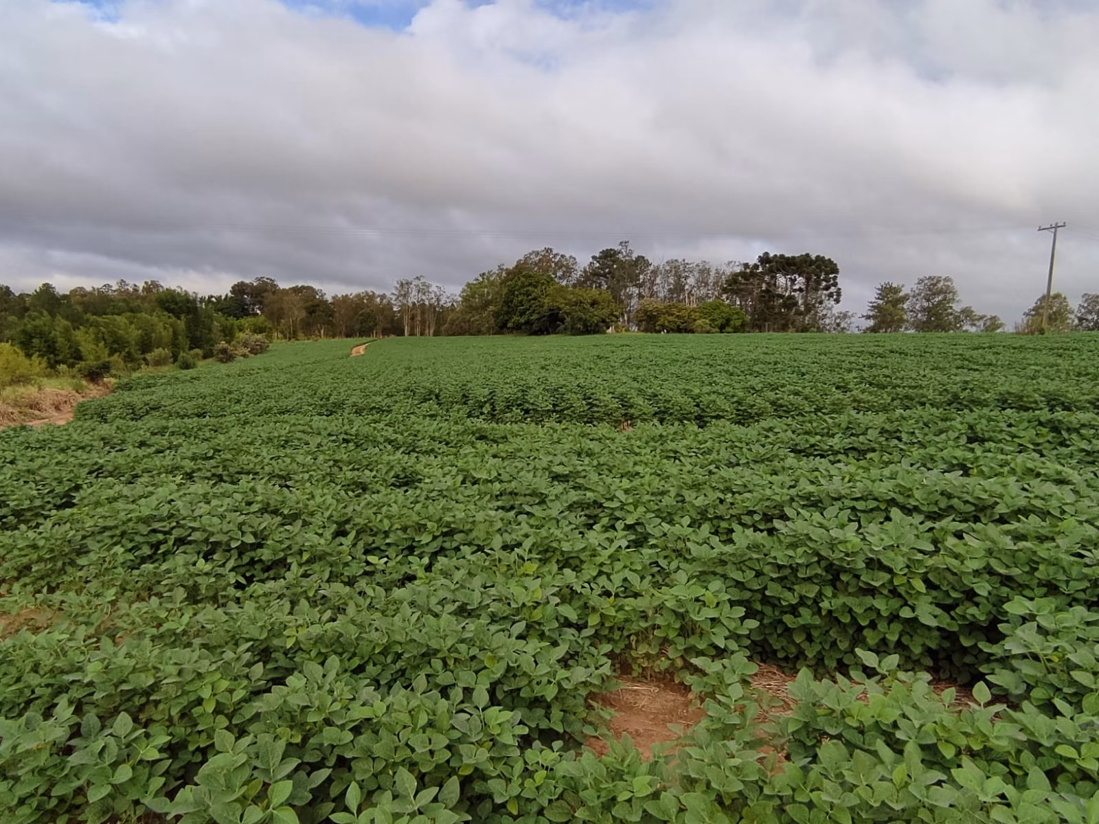 Fazenda de 111 ha em Itapetininga, SP
