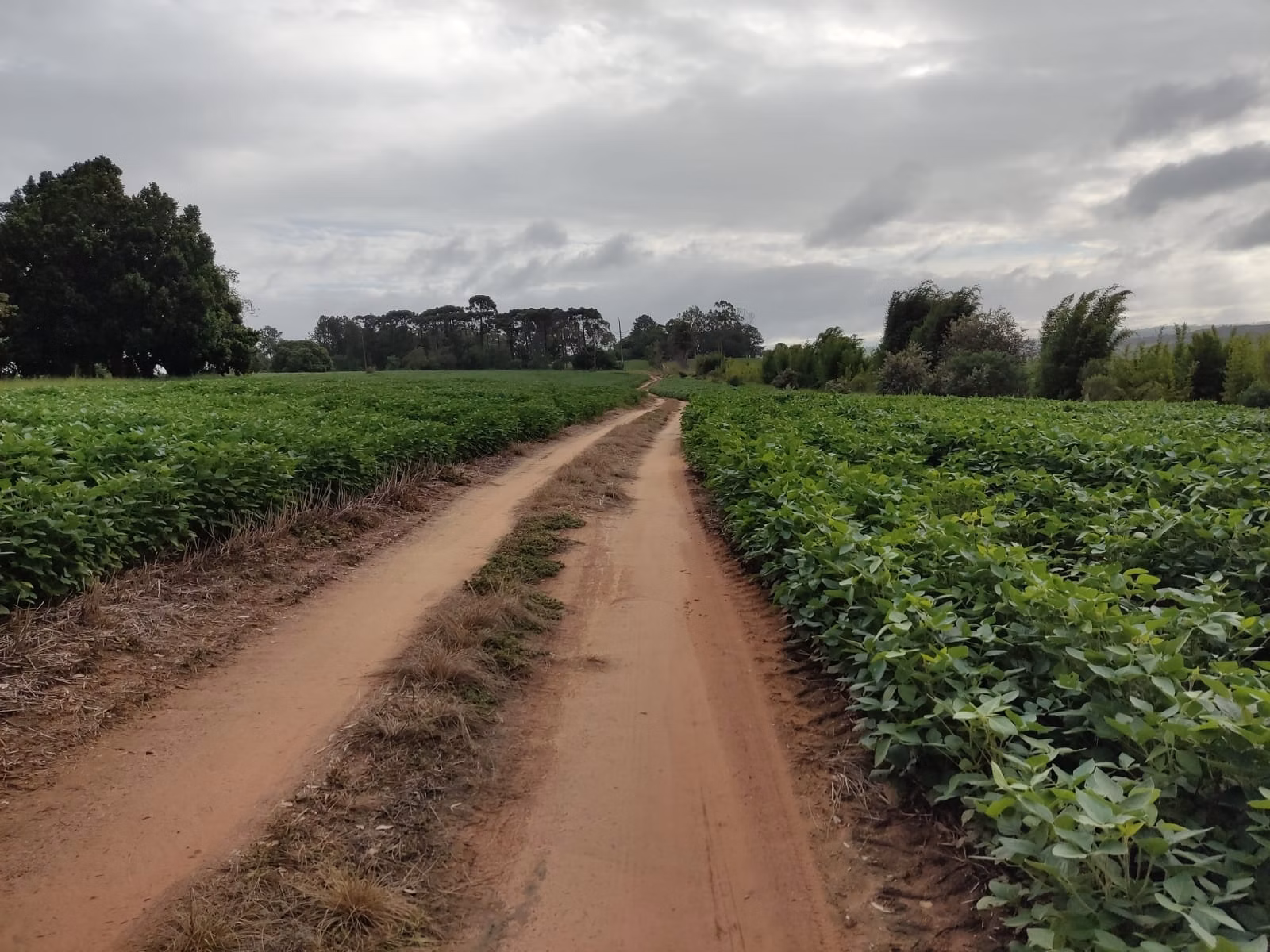 Fazenda de 111 ha em Itapetininga, SP