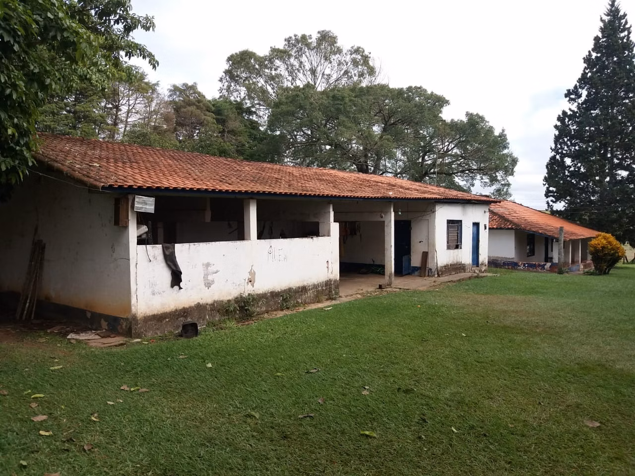 Farm of 275 acres in Itapetininga, SP, Brazil
