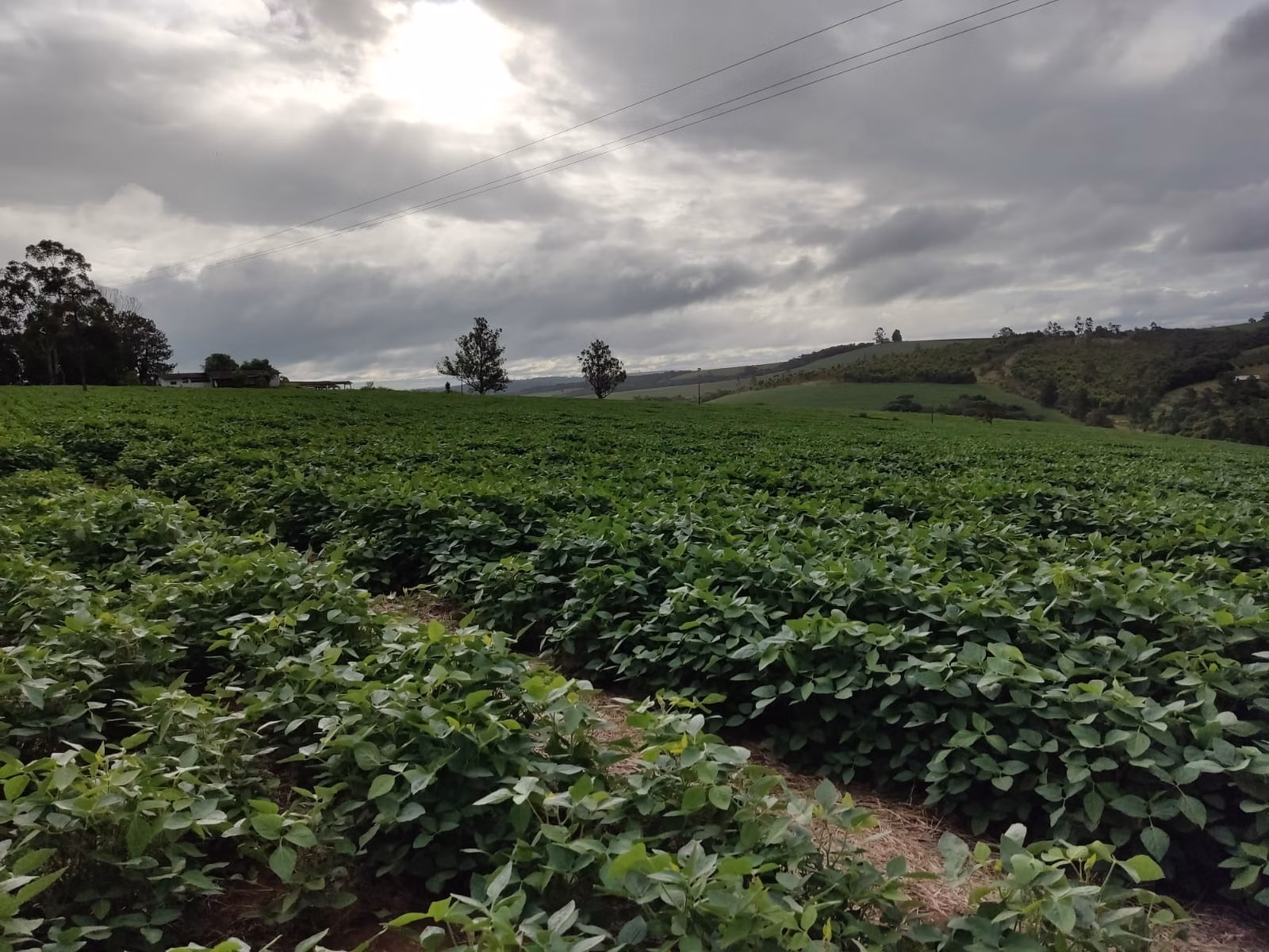 Fazenda de 111 ha em Itapetininga, SP