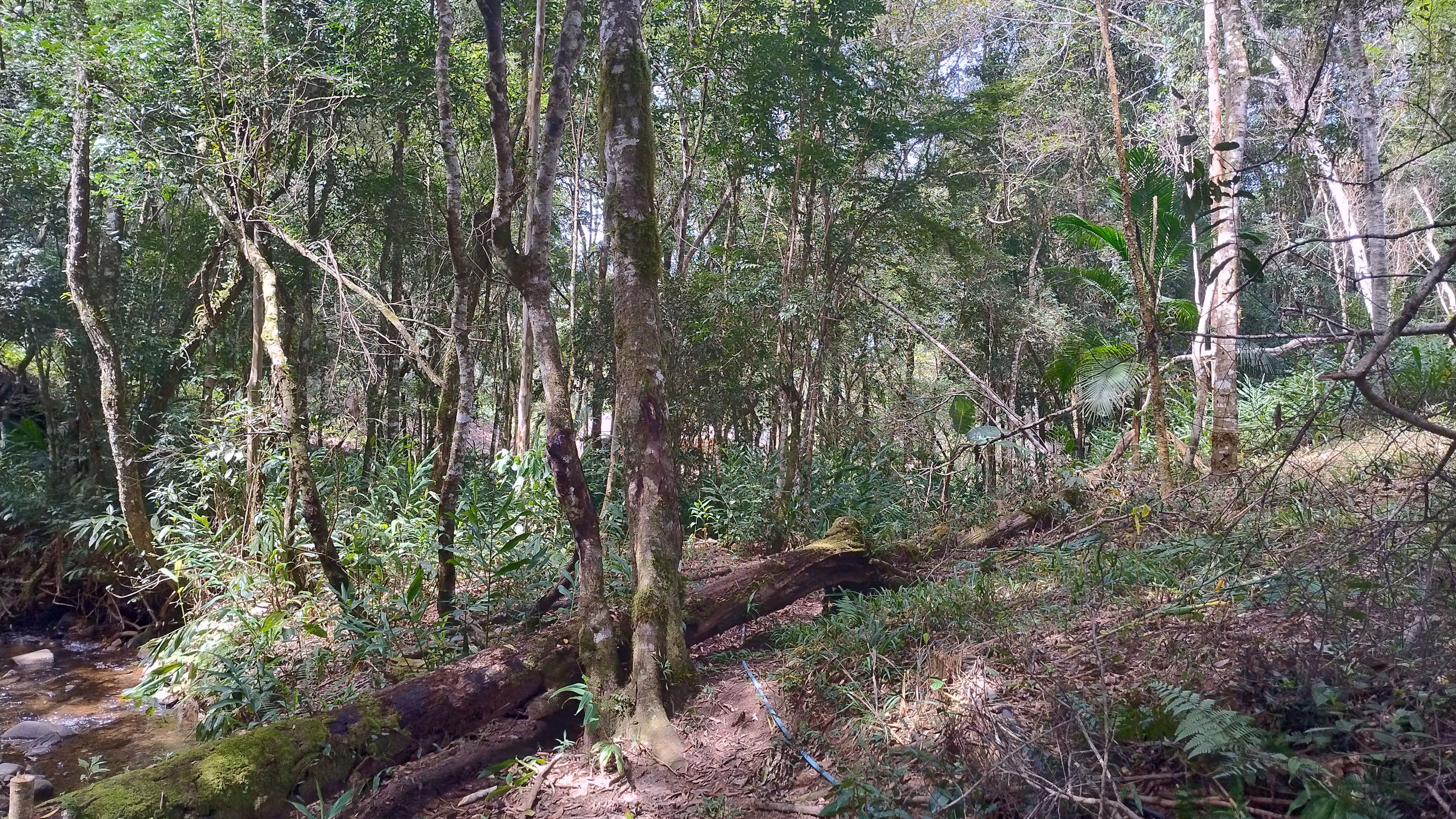 Small farm of 7 acres in Bom Sucesso de Itararé, SP, Brazil