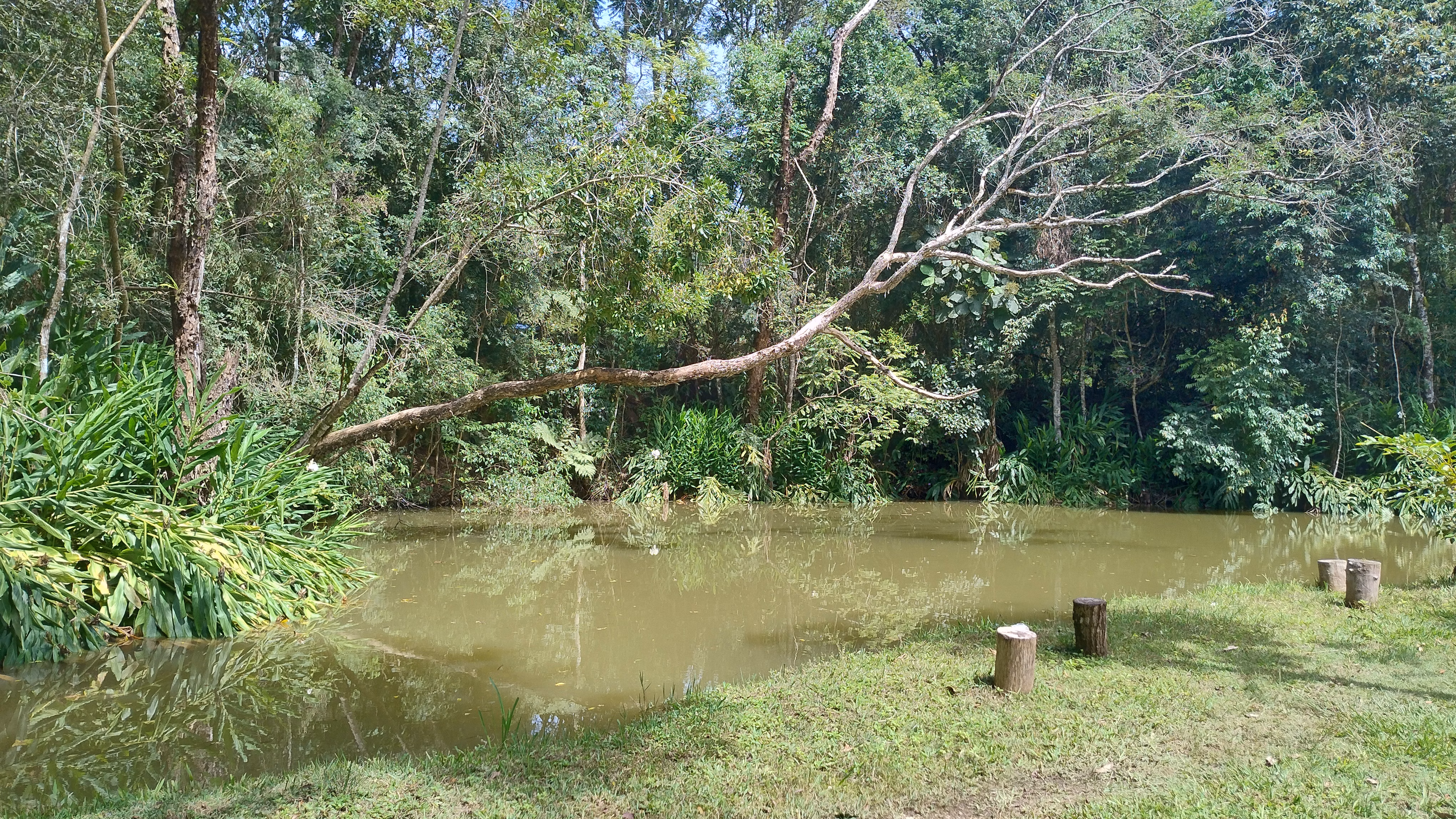 Small farm of 7 acres in Bom Sucesso de Itararé, SP, Brazil