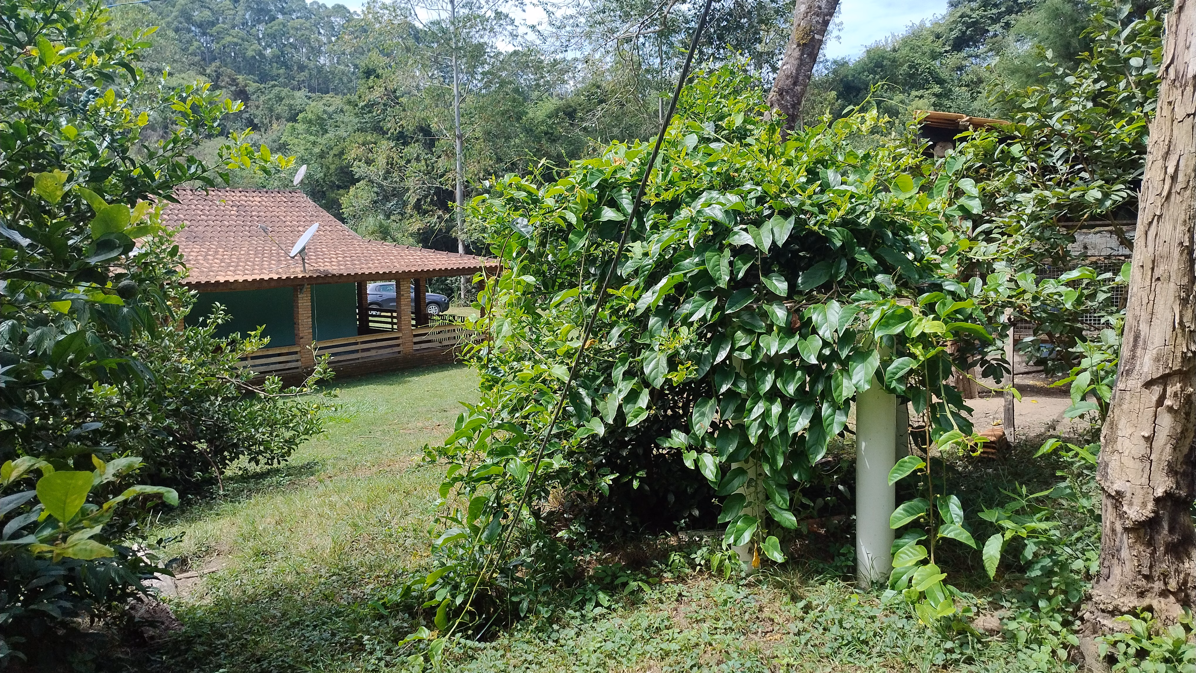 Small farm of 7 acres in Bom Sucesso de Itararé, SP, Brazil