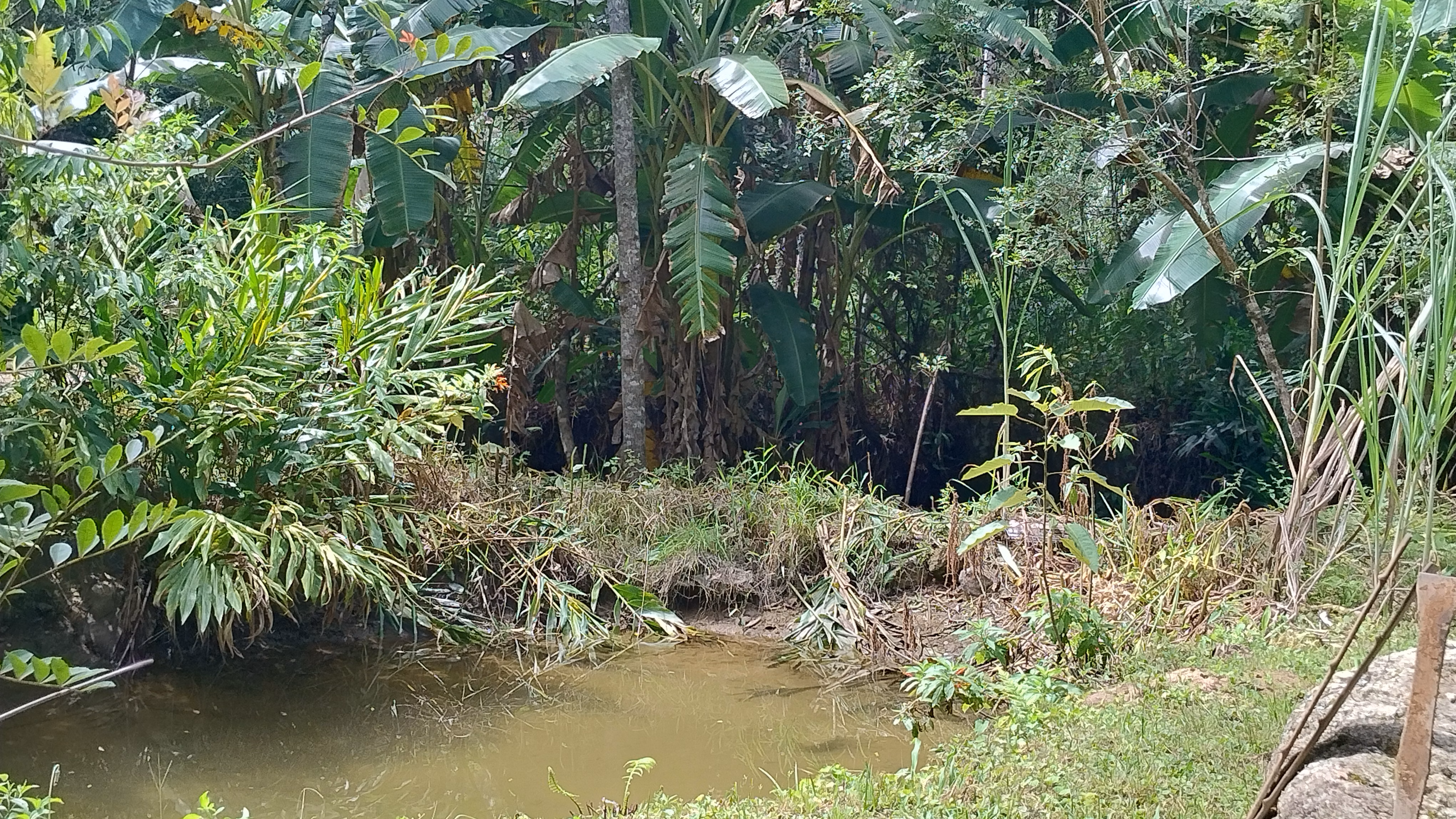 Small farm of 7 acres in Bom Sucesso de Itararé, SP, Brazil