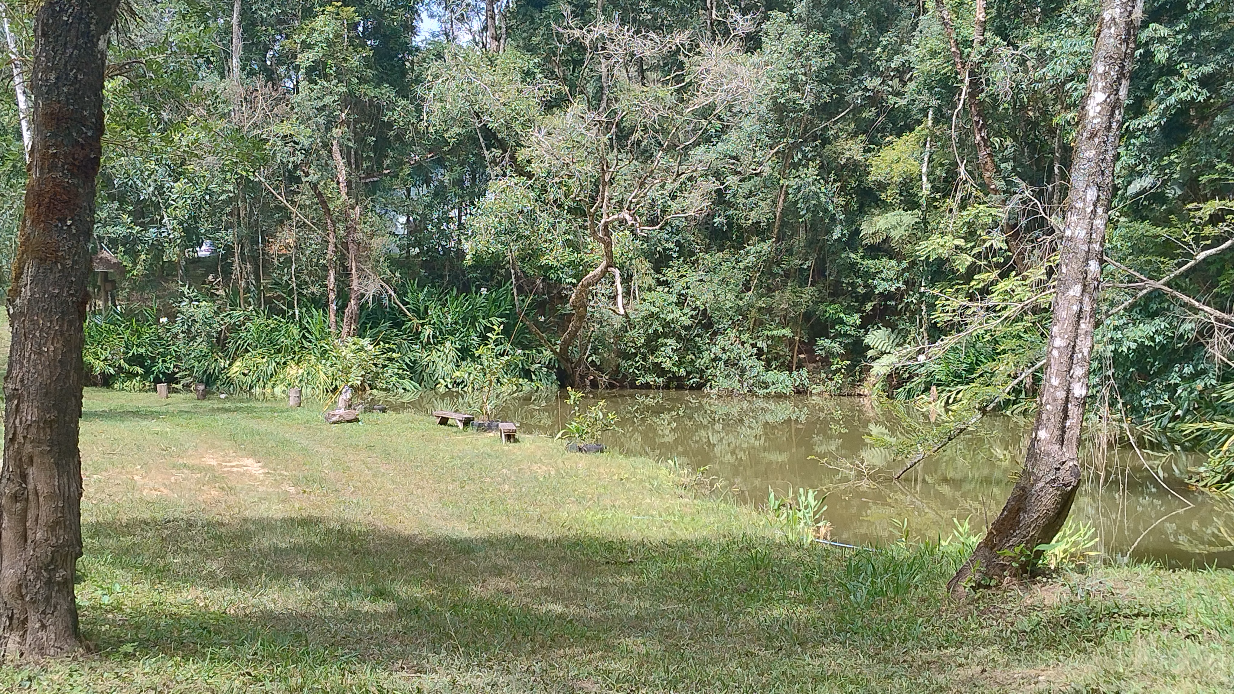 Small farm of 7 acres in Bom Sucesso de Itararé, SP, Brazil