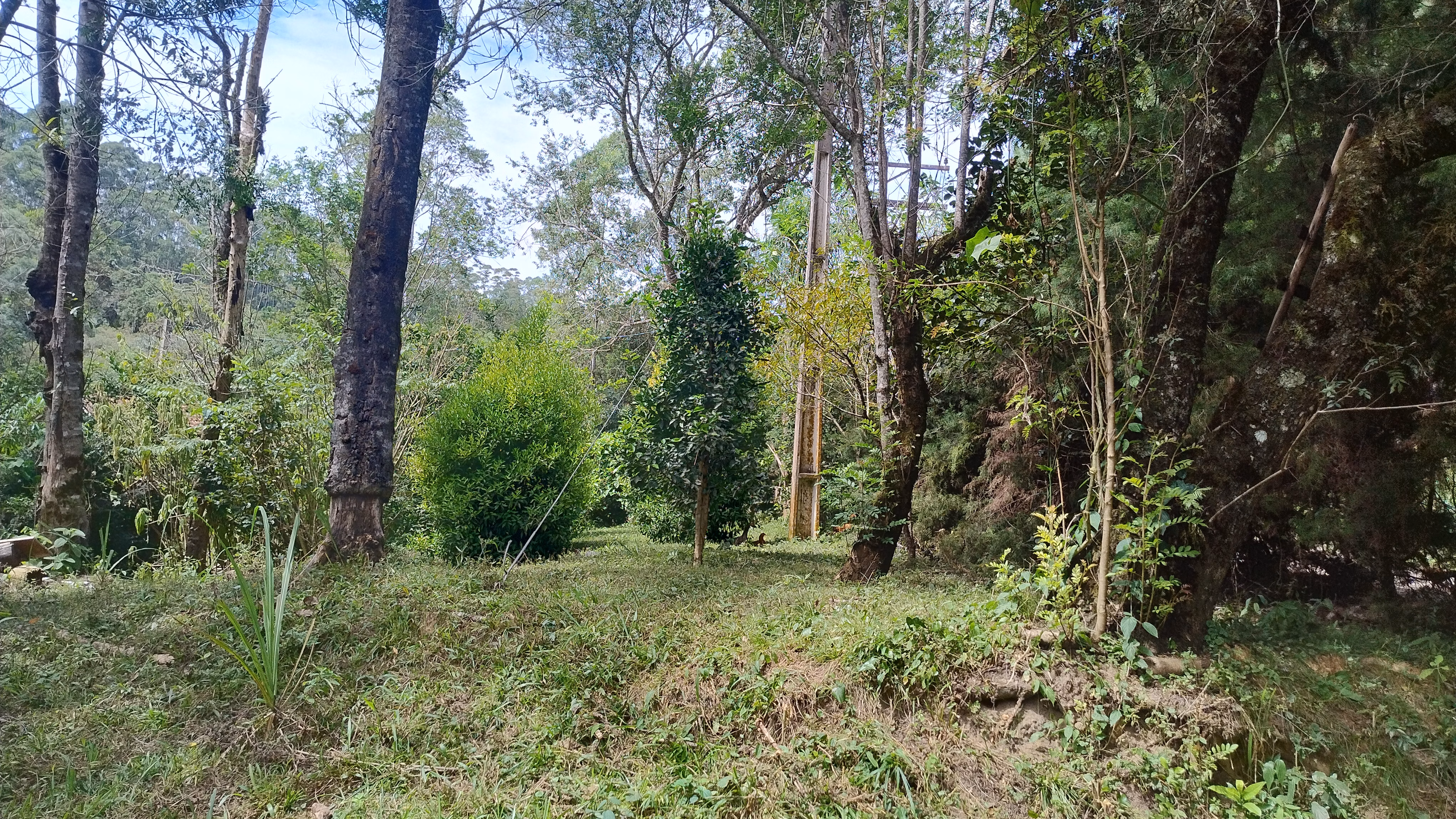 Small farm of 7 acres in Bom Sucesso de Itararé, SP, Brazil