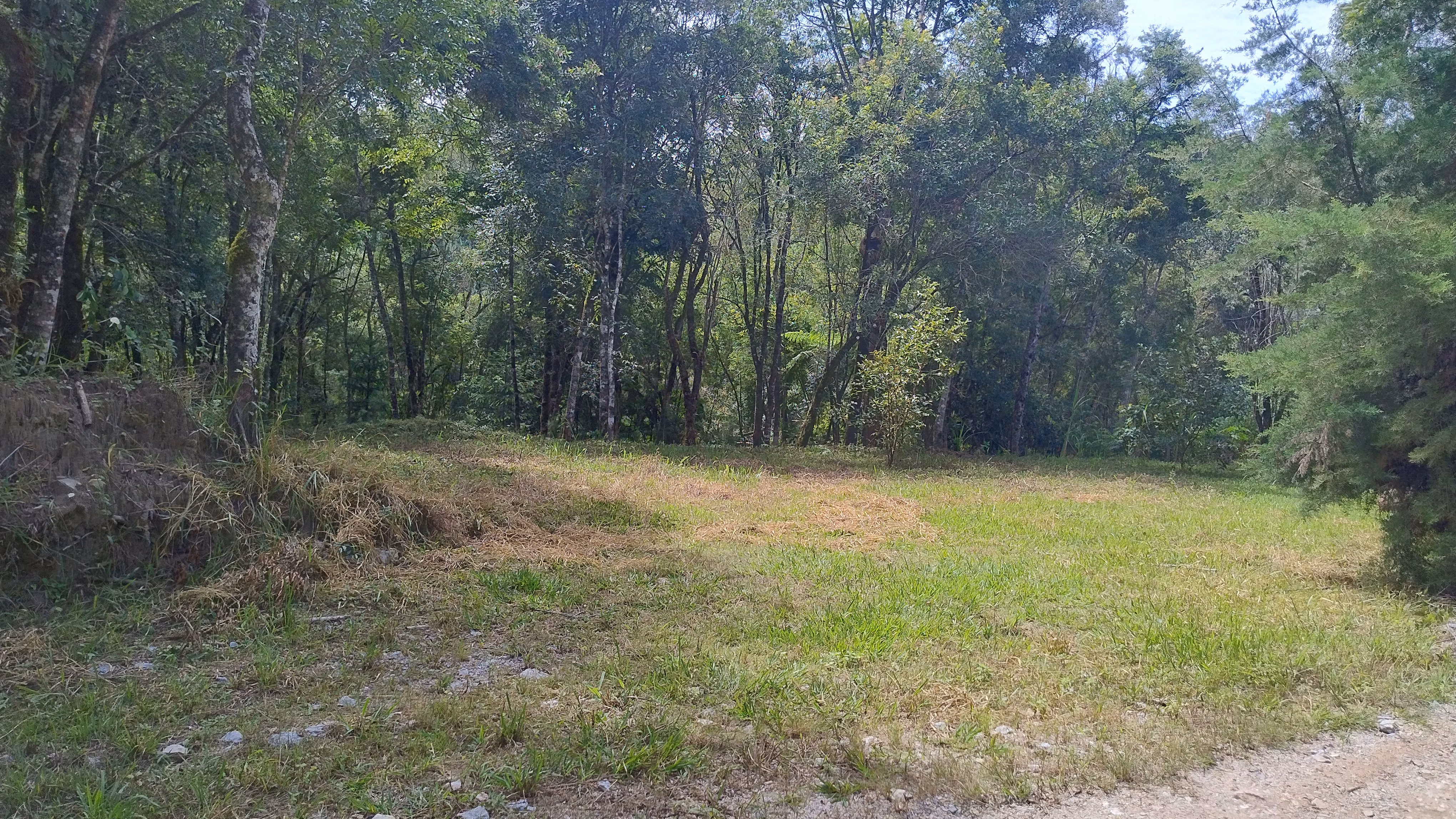Small farm of 7 acres in Bom Sucesso de Itararé, SP, Brazil
