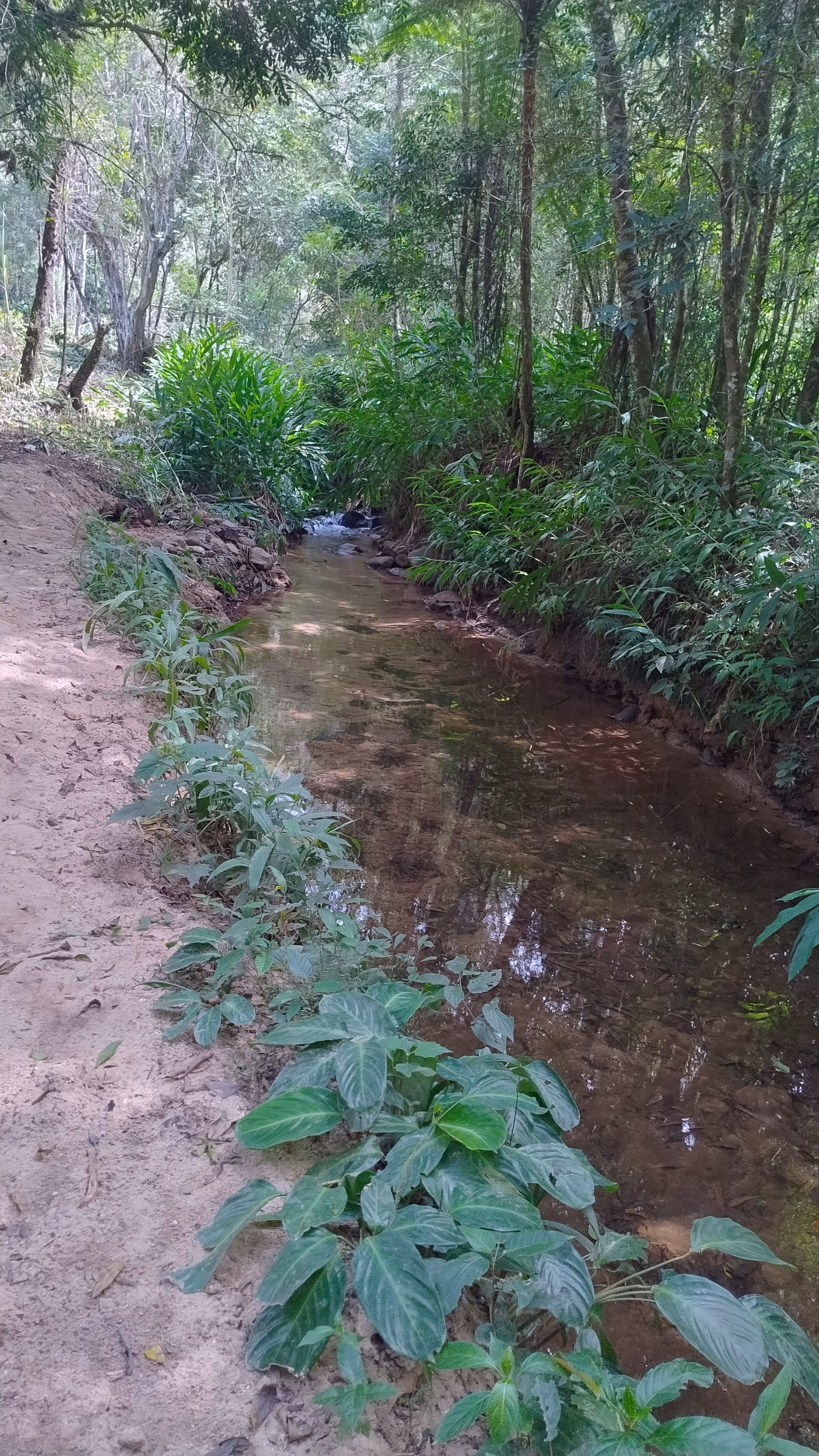 Small farm of 7 acres in Bom Sucesso de Itararé, SP, Brazil