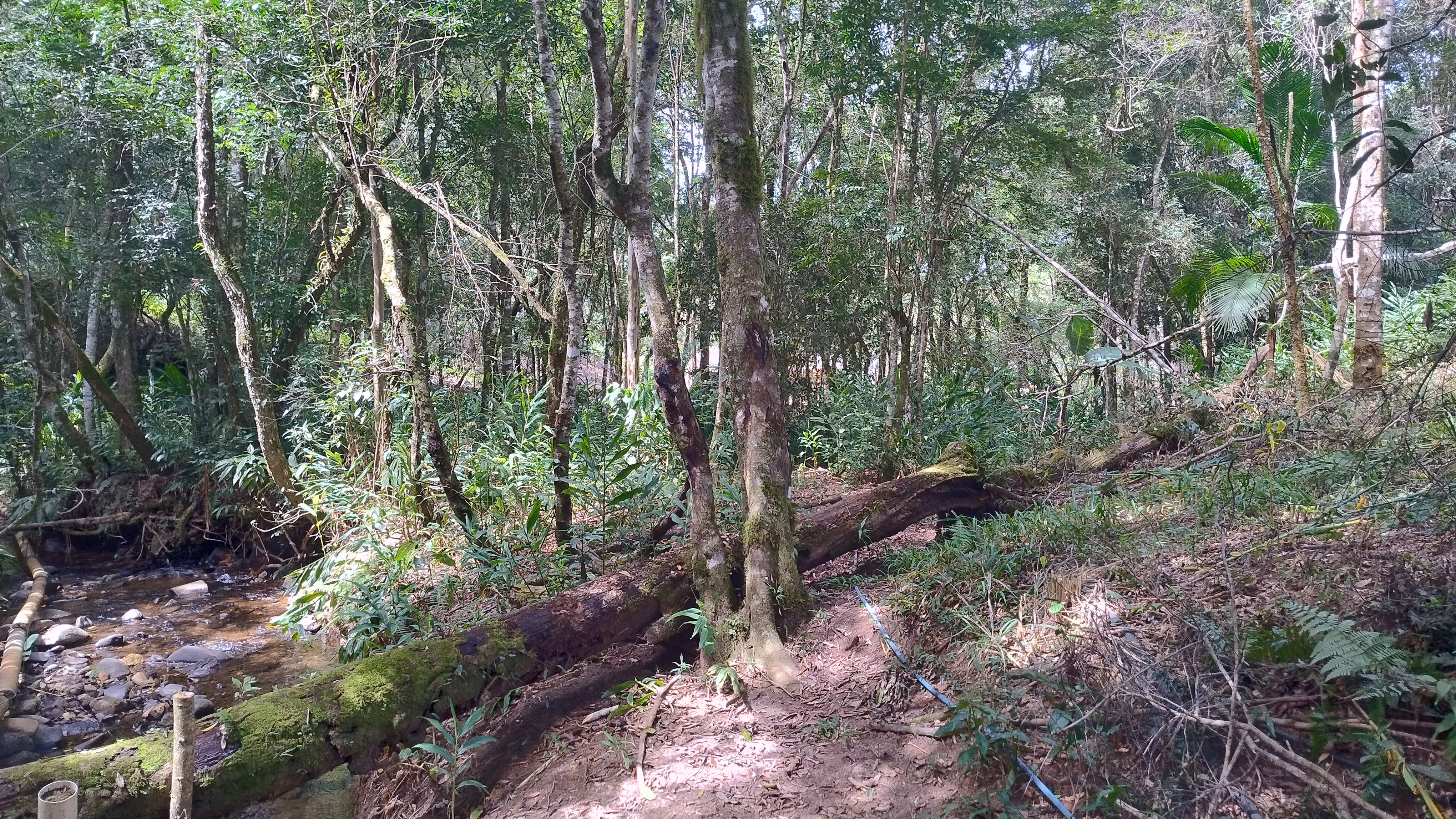 Small farm of 7 acres in Bom Sucesso de Itararé, SP, Brazil