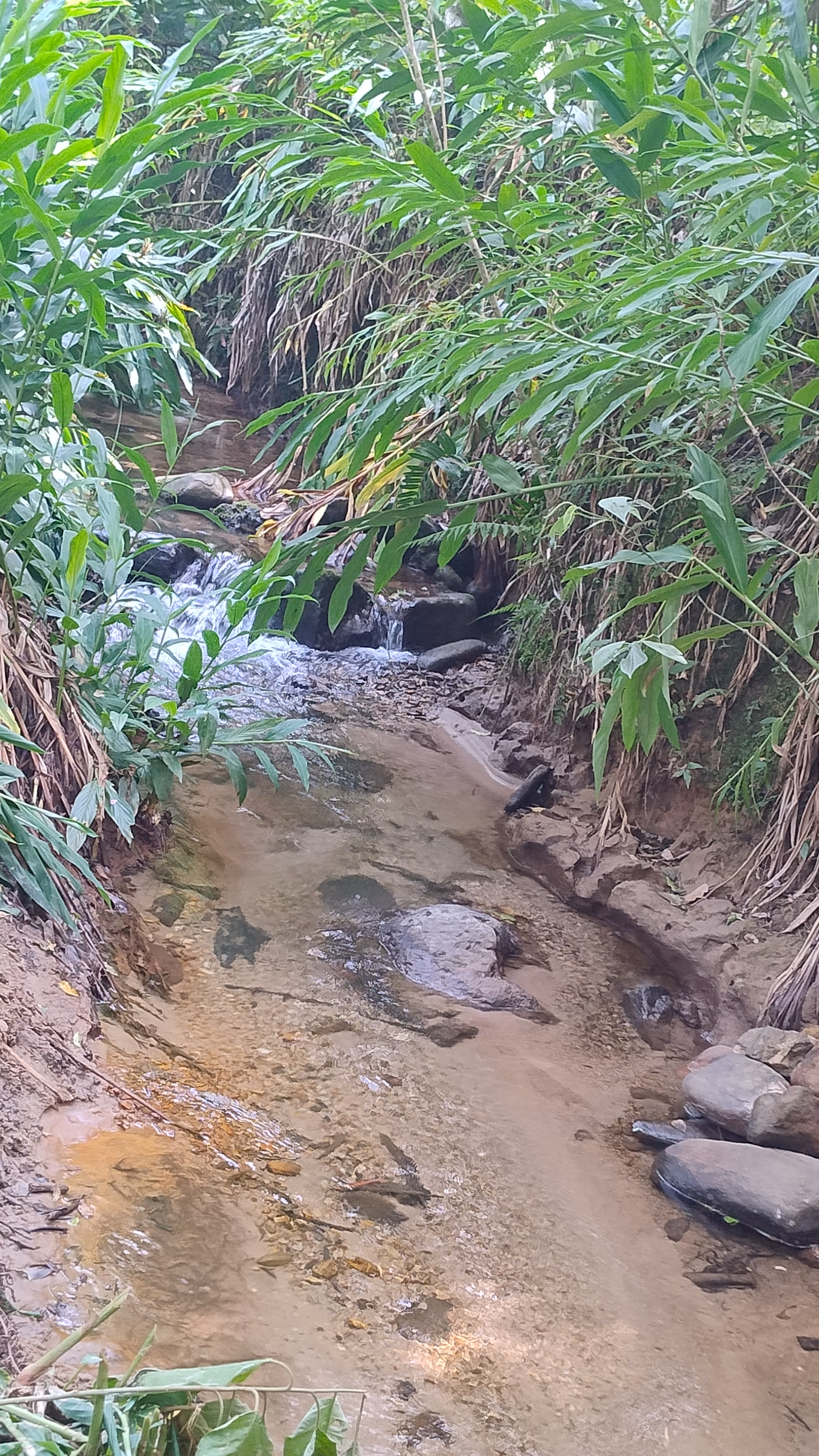 Small farm of 7 acres in Bom Sucesso de Itararé, SP, Brazil