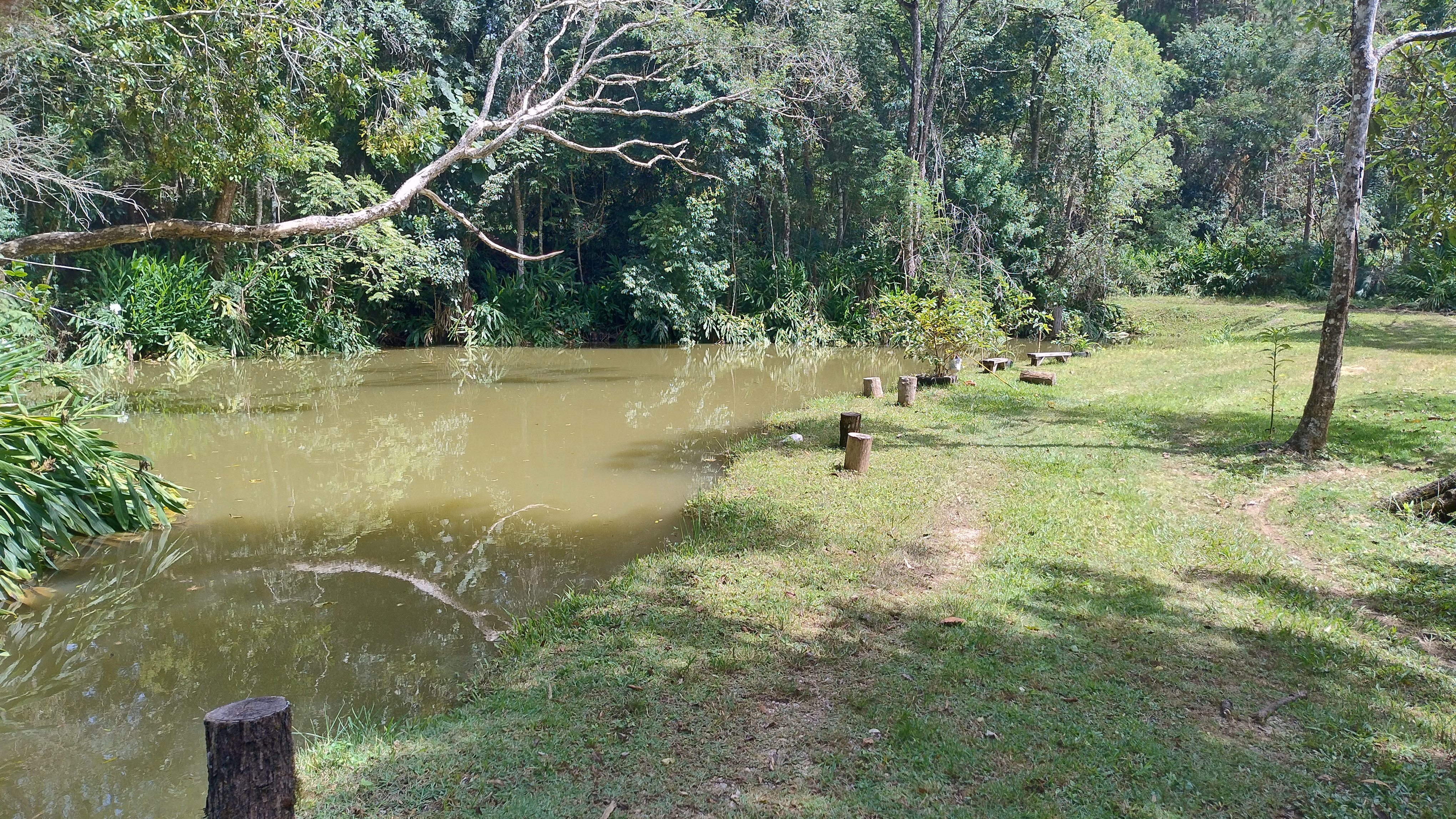 Small farm of 7 acres in Bom Sucesso de Itararé, SP, Brazil